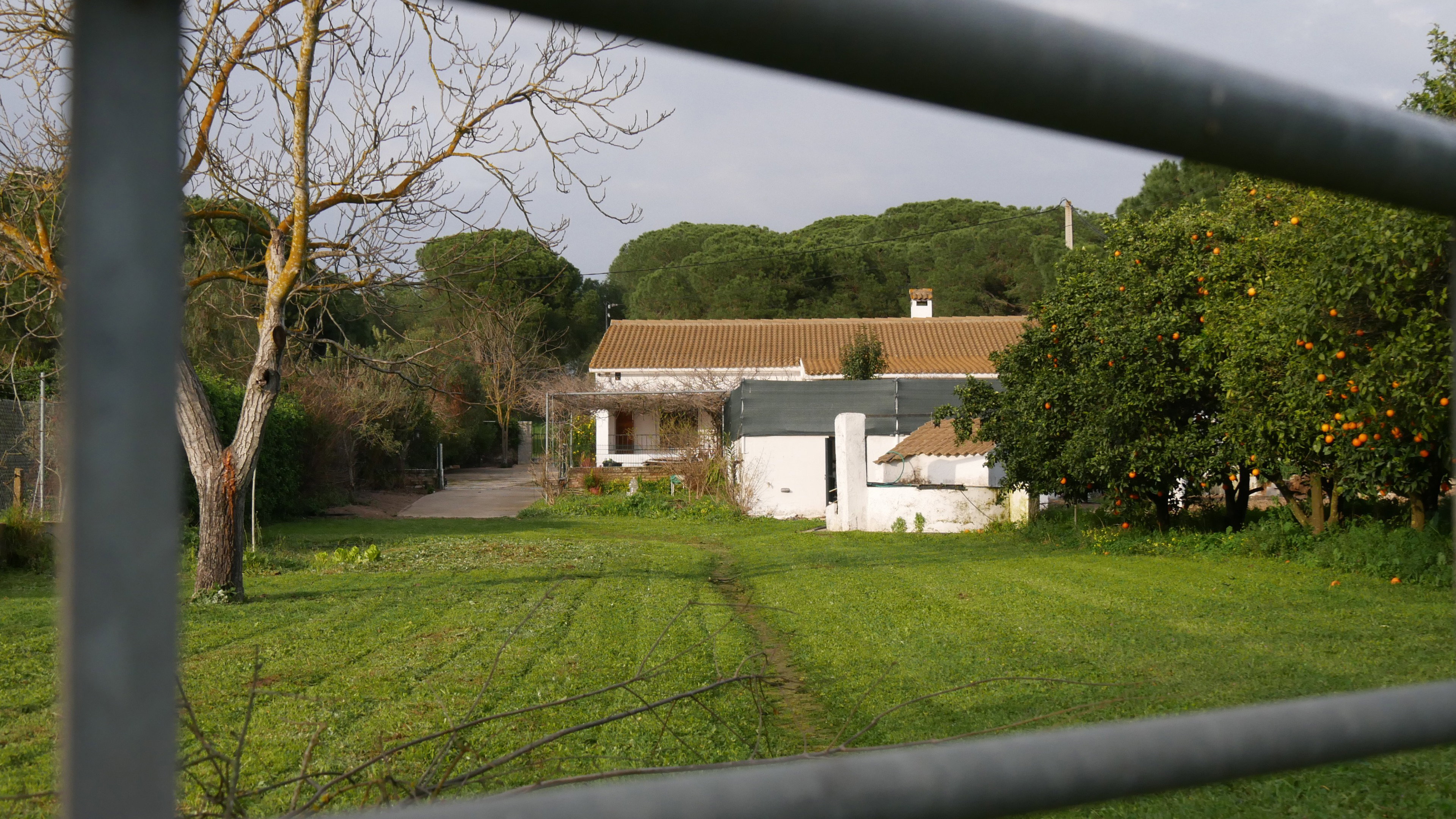 Nature house in Aljaraque