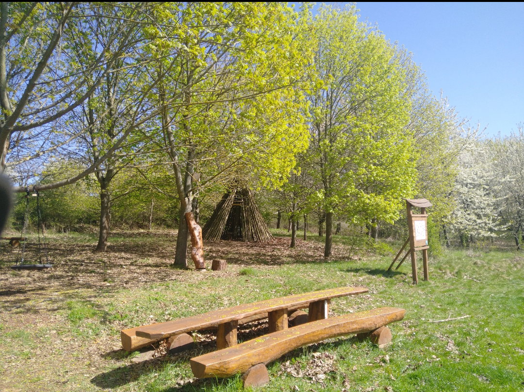 - image: 25