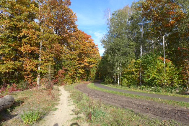 Maison nature à Hoogersmilde