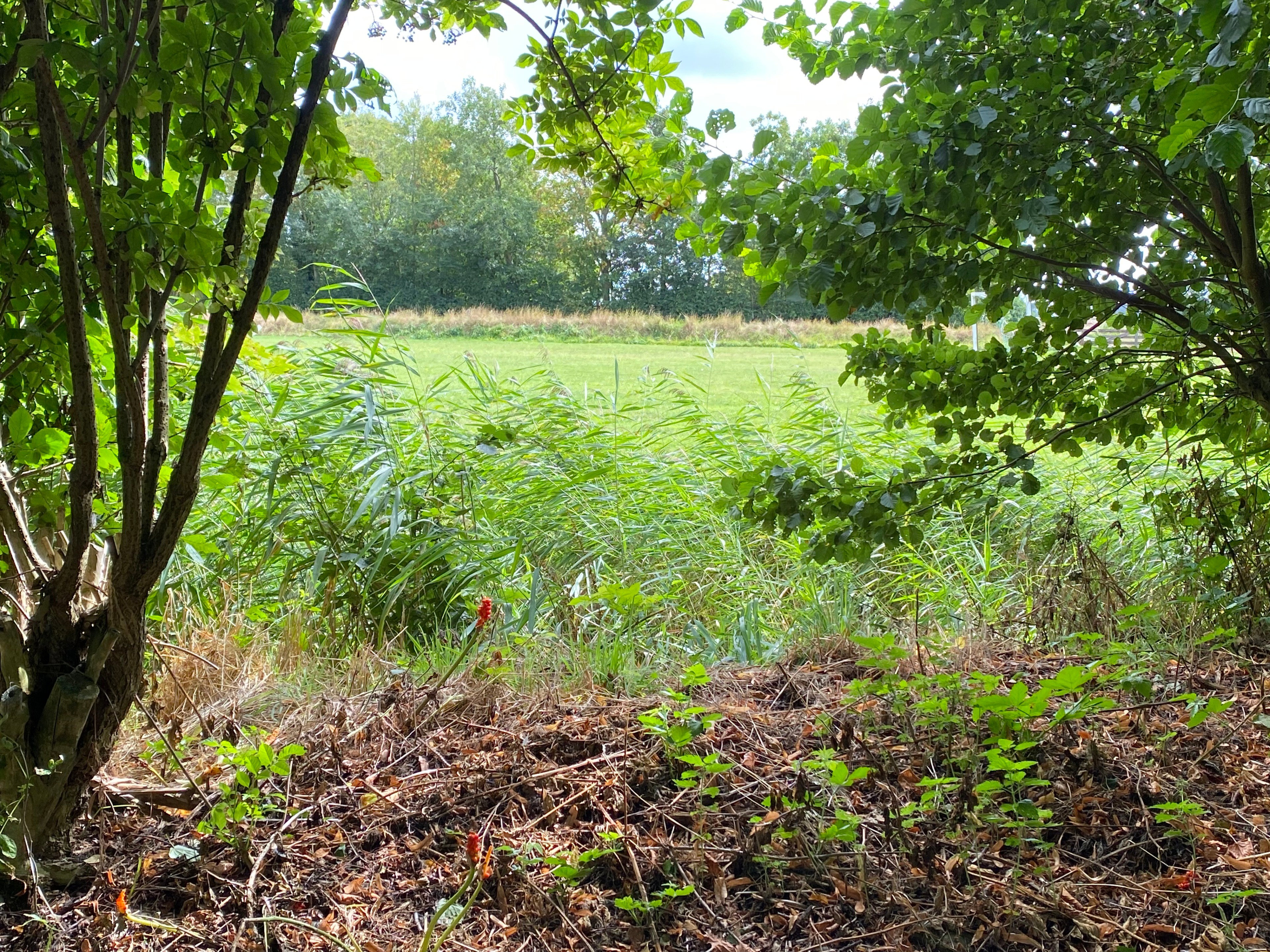 Nature house in De Waal
