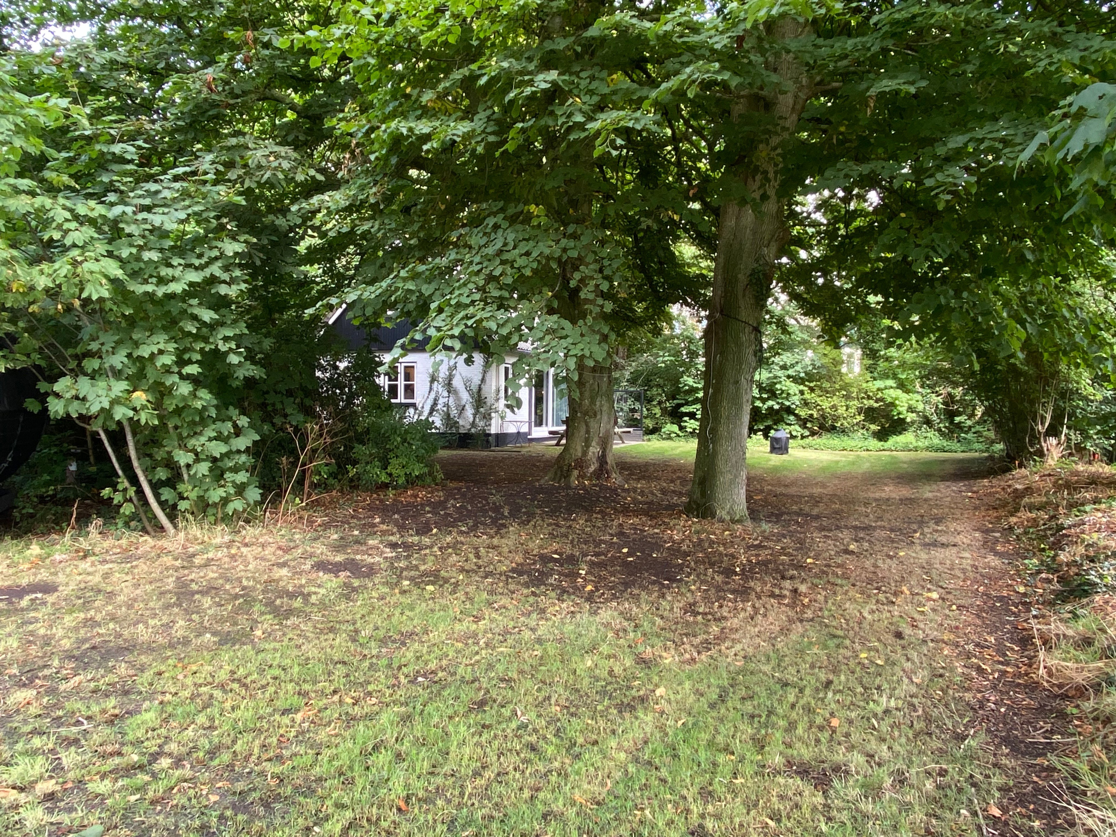 Nature house in De Waal