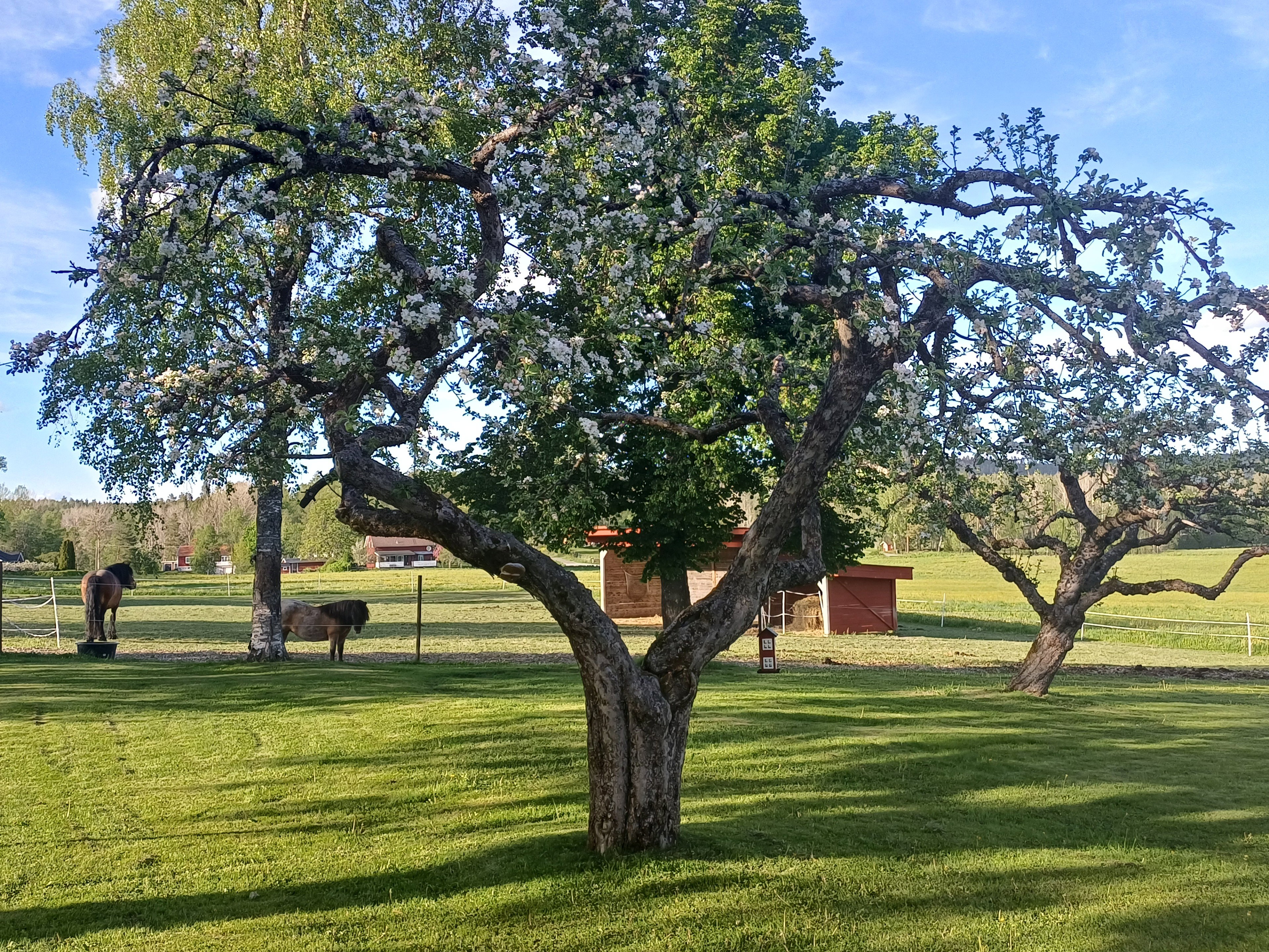 Nature house in Kopparberg