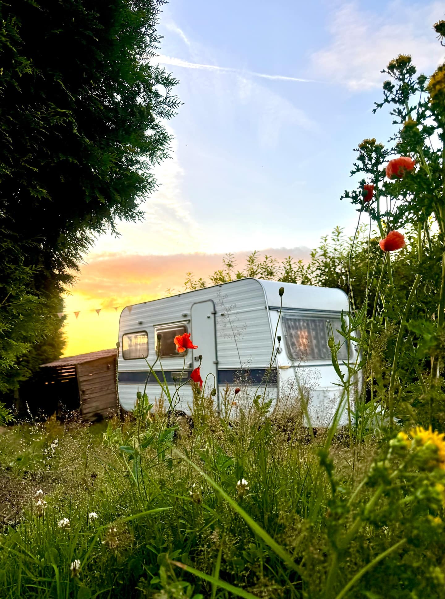 Casa nella natura a Veelerveen