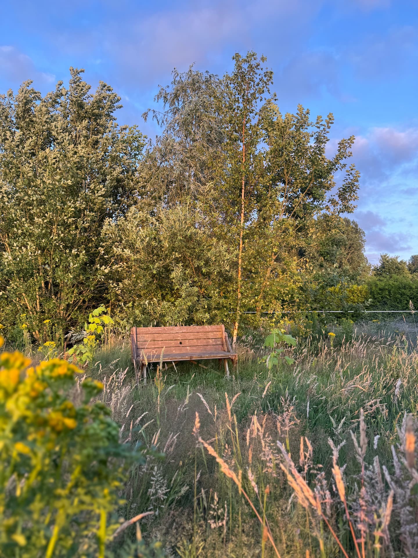 Casa nella natura a Veelerveen