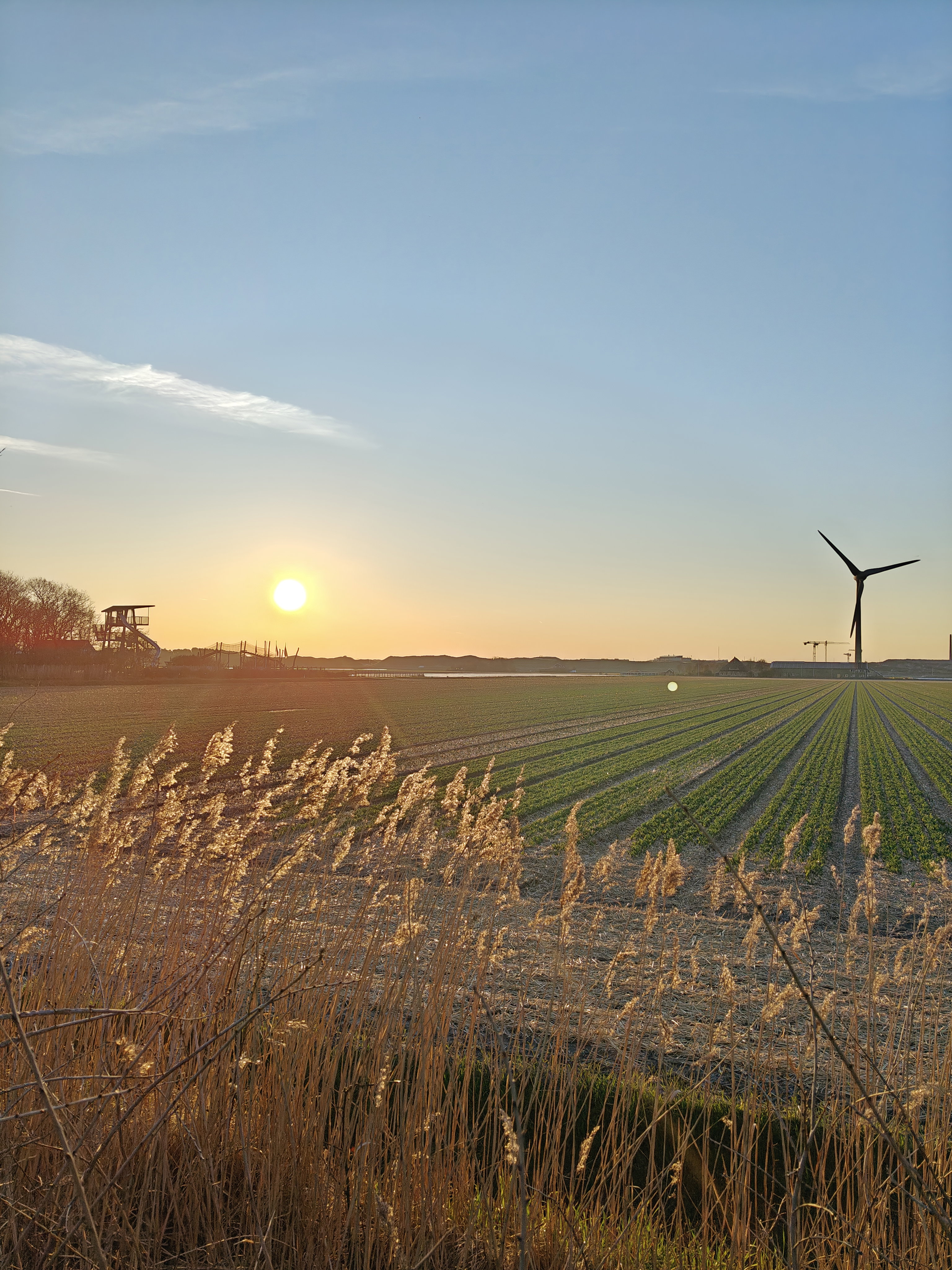 Maison nature à Sint Maartensvlotbrug