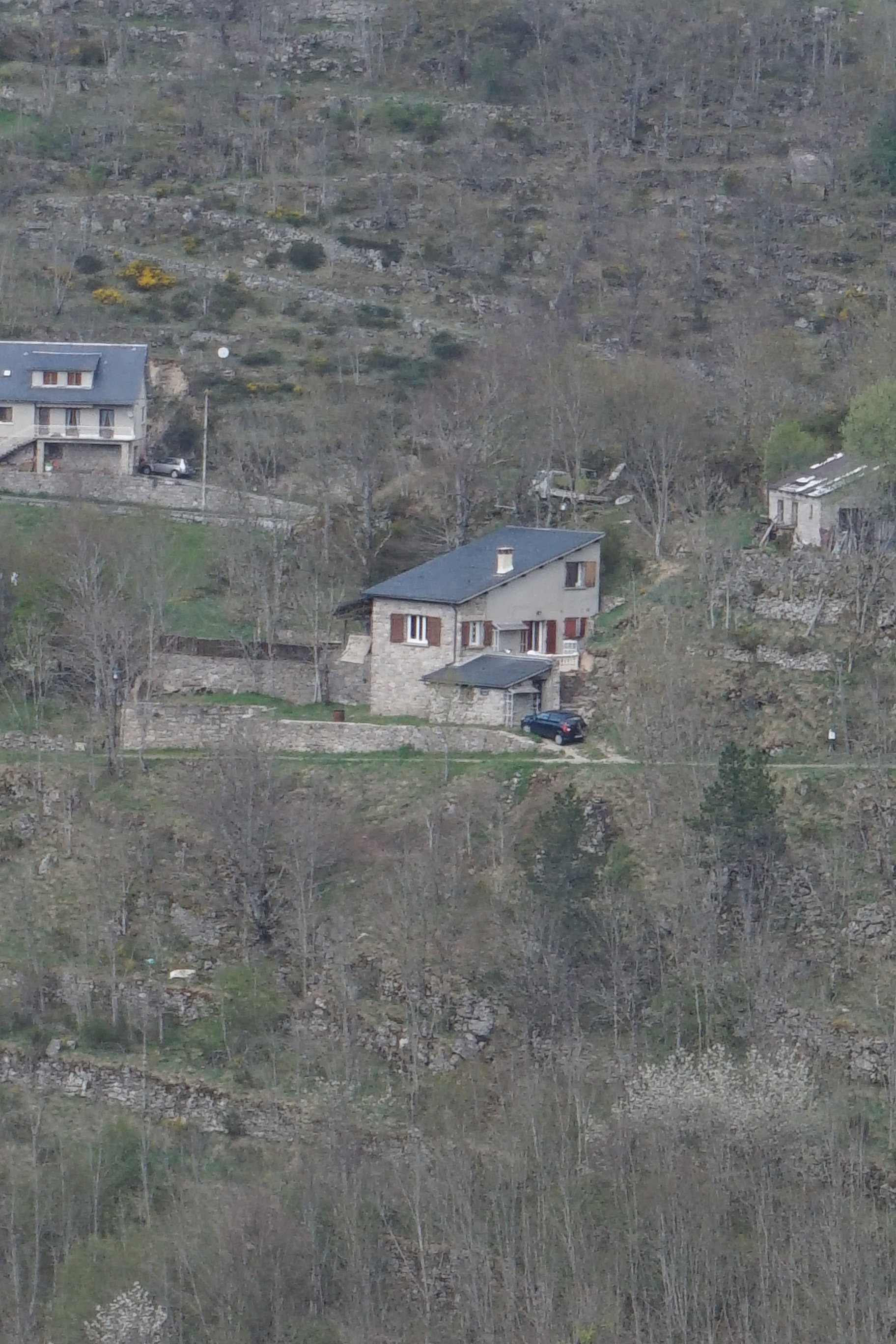 - image: 22