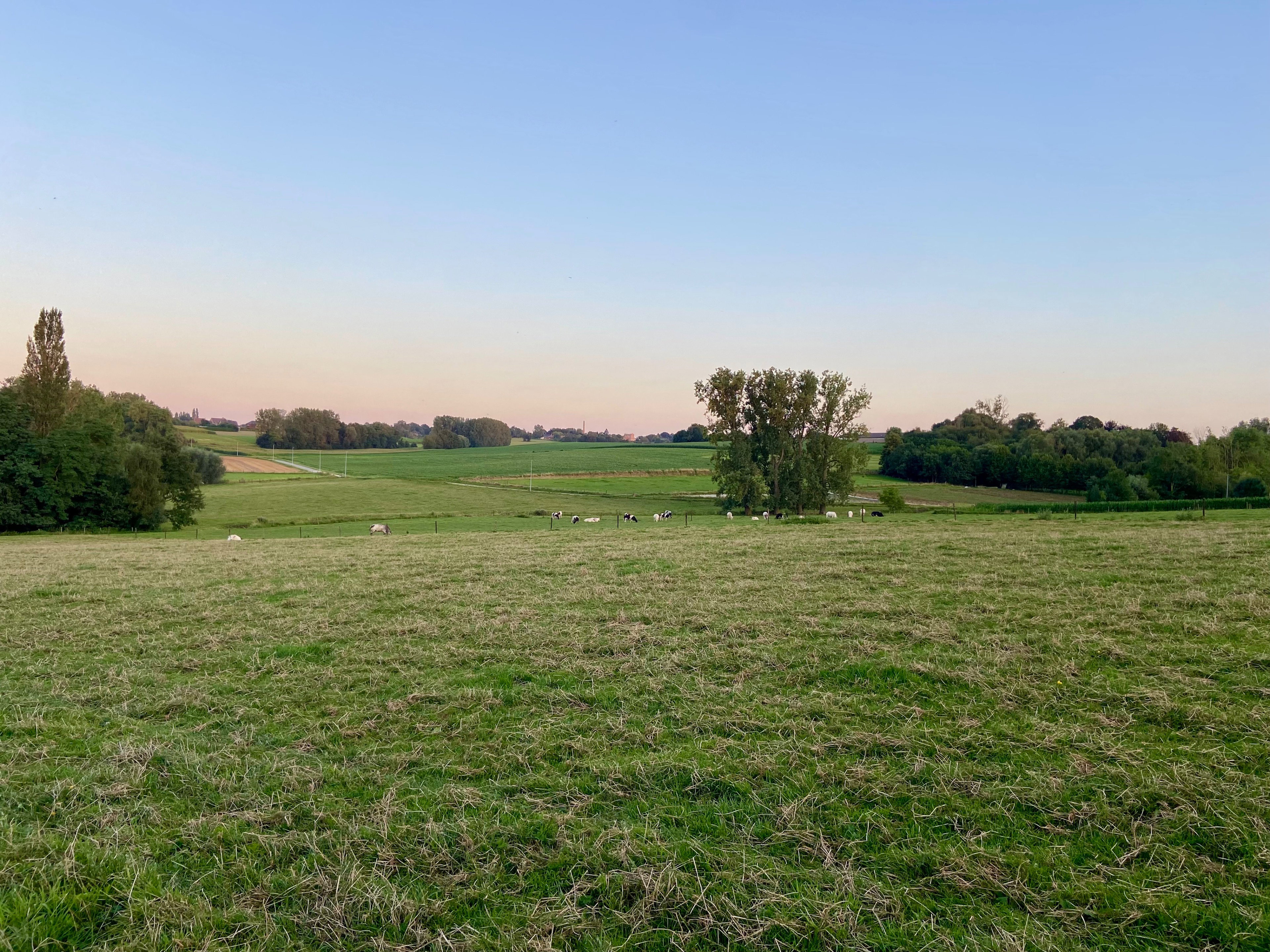 Nature house in Oudenaarde