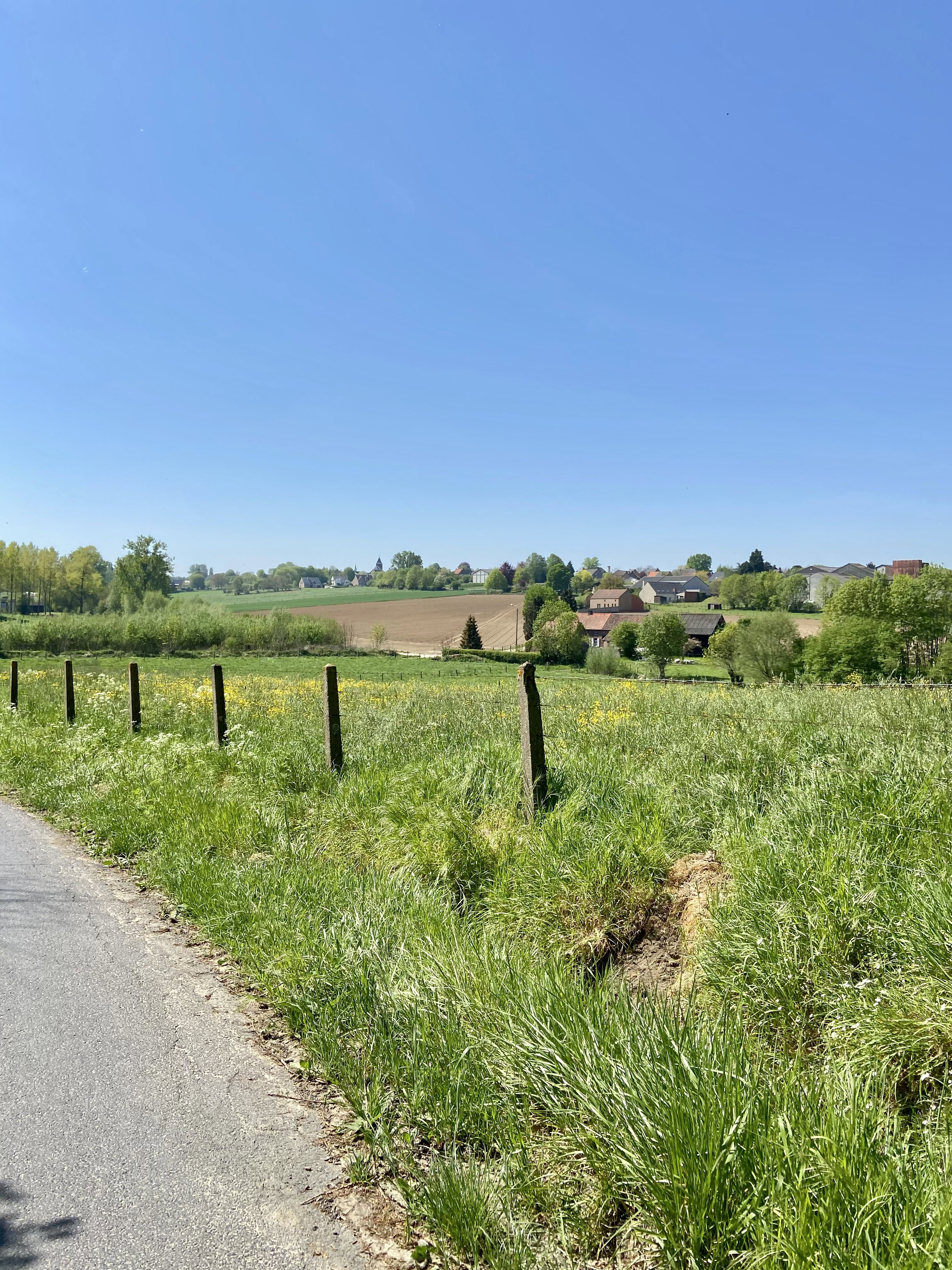 Nature house in Oudenaarde