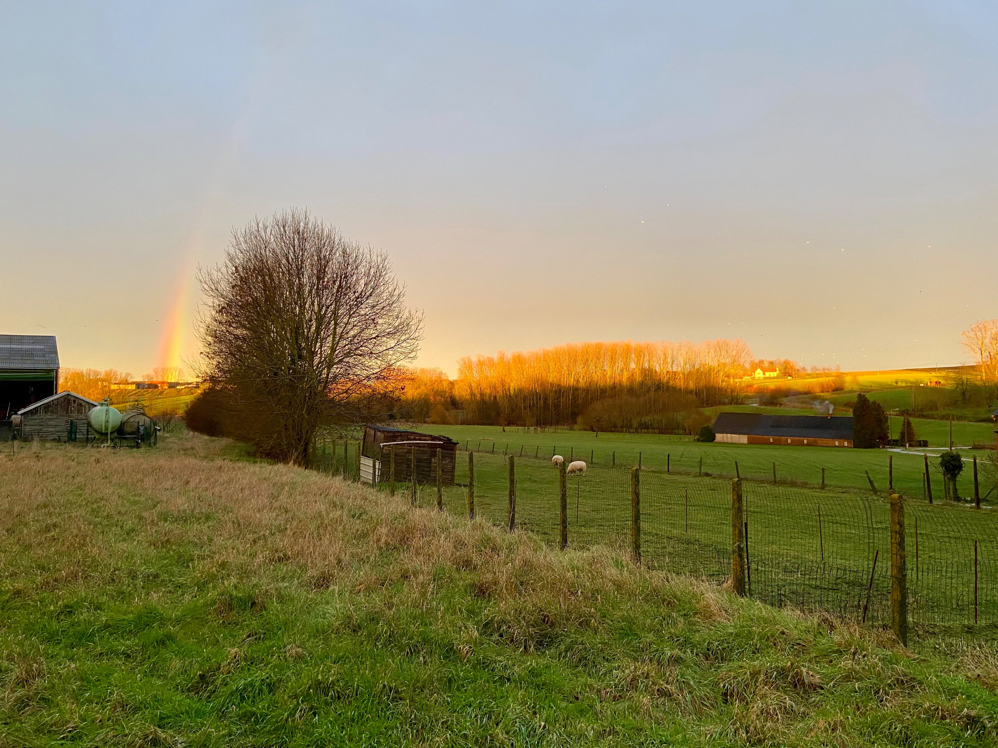 Nature house in Oudenaarde