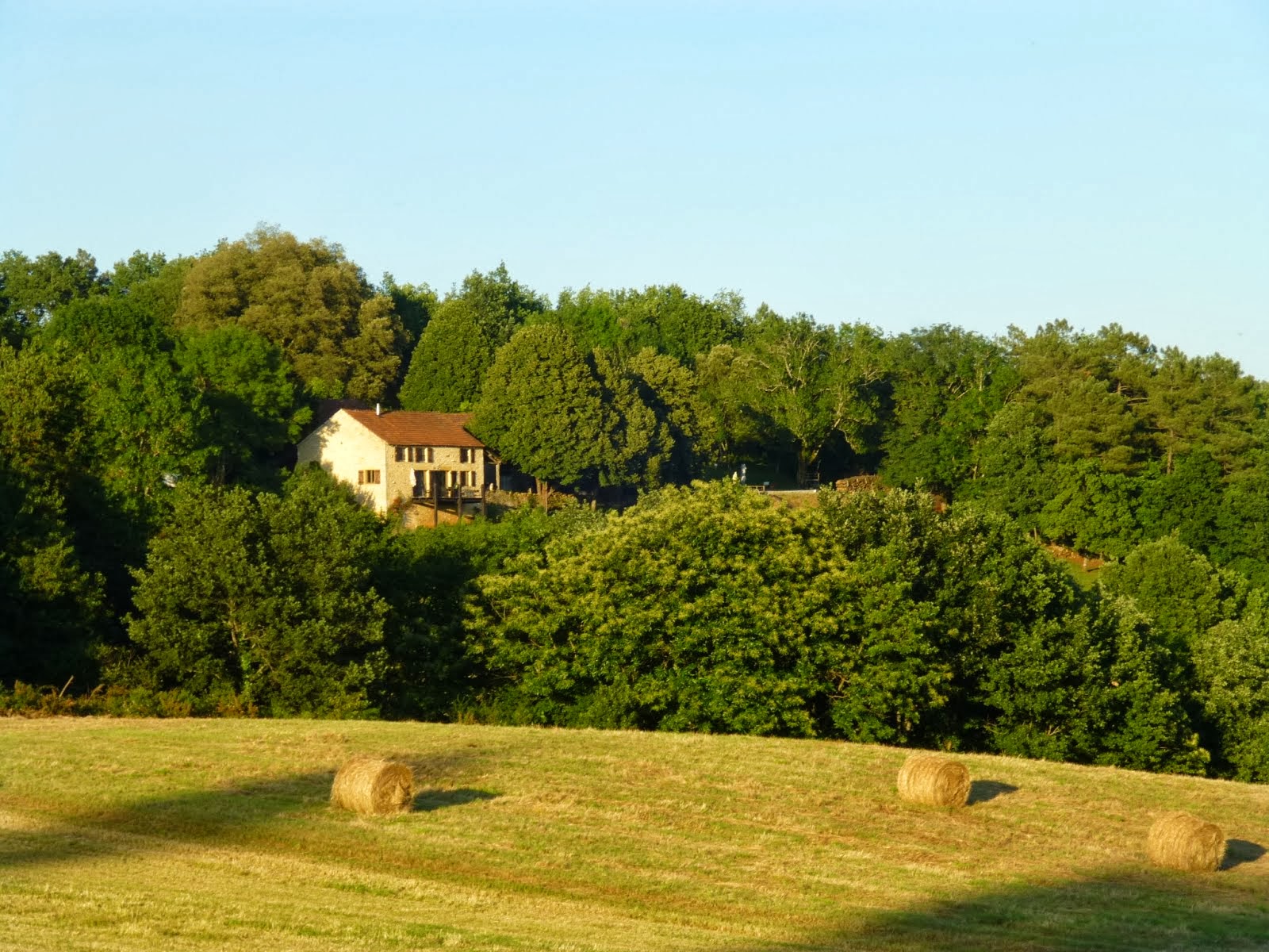 - image: 20