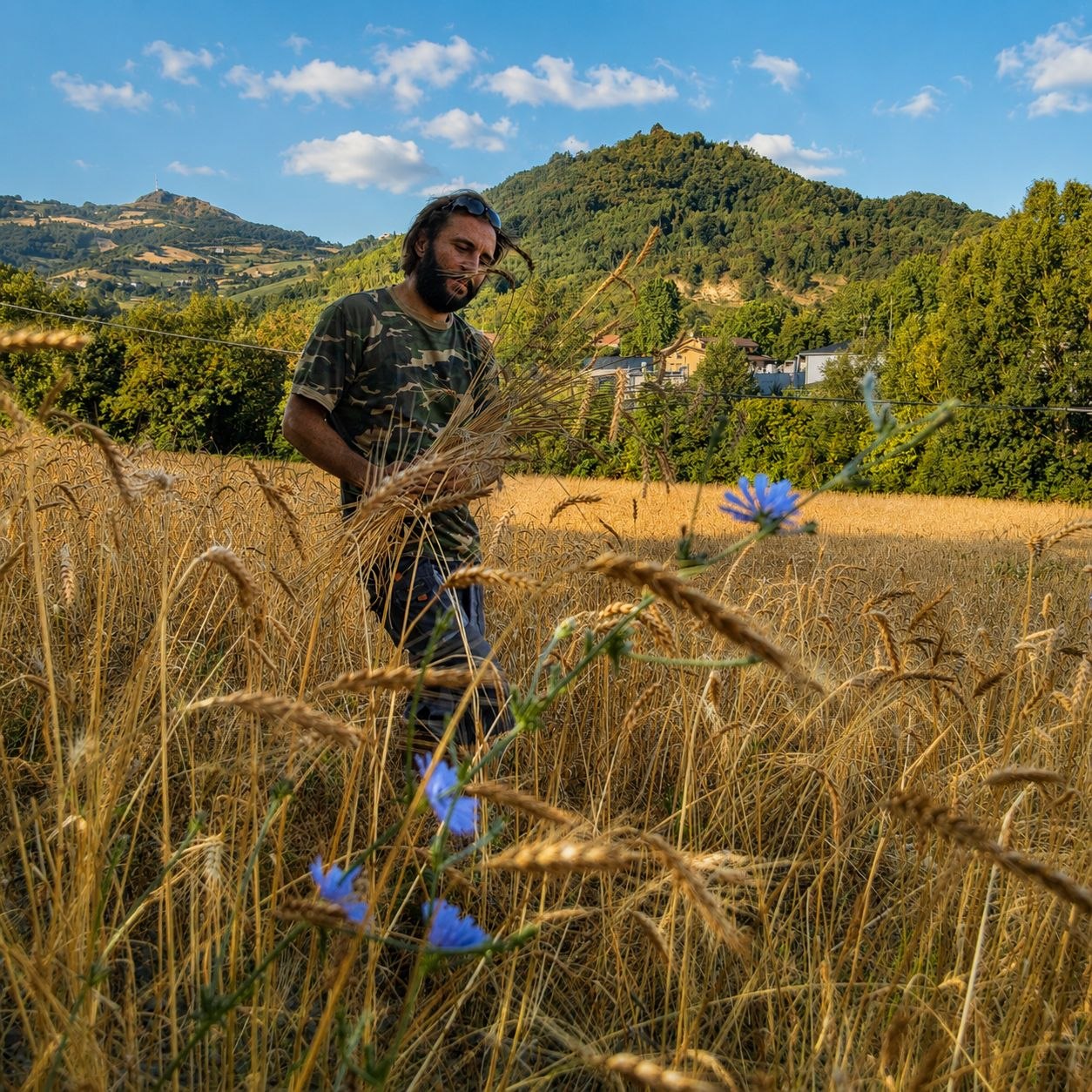 Naturhäuschen in Fornovo di Taro