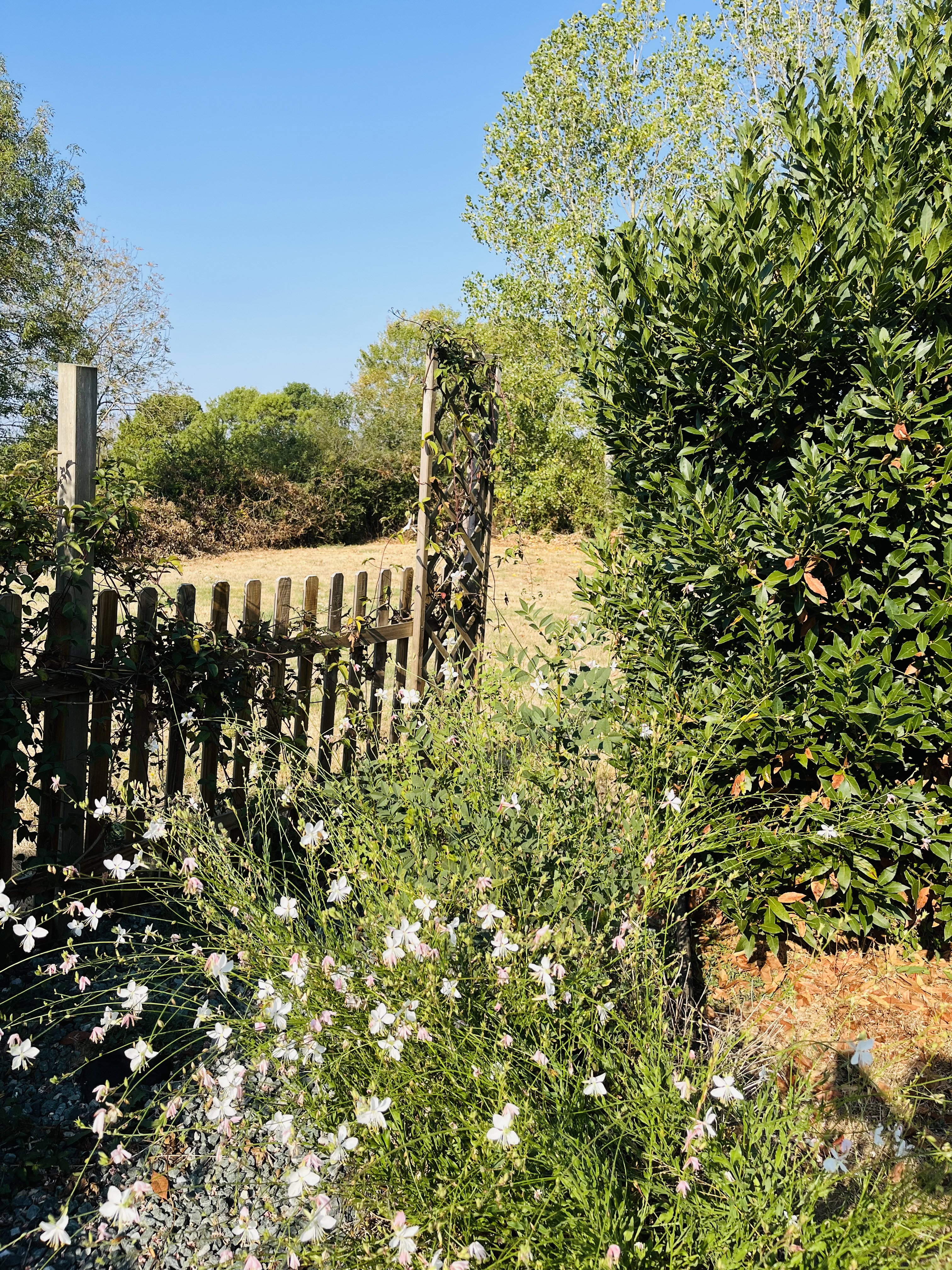 - image: 15