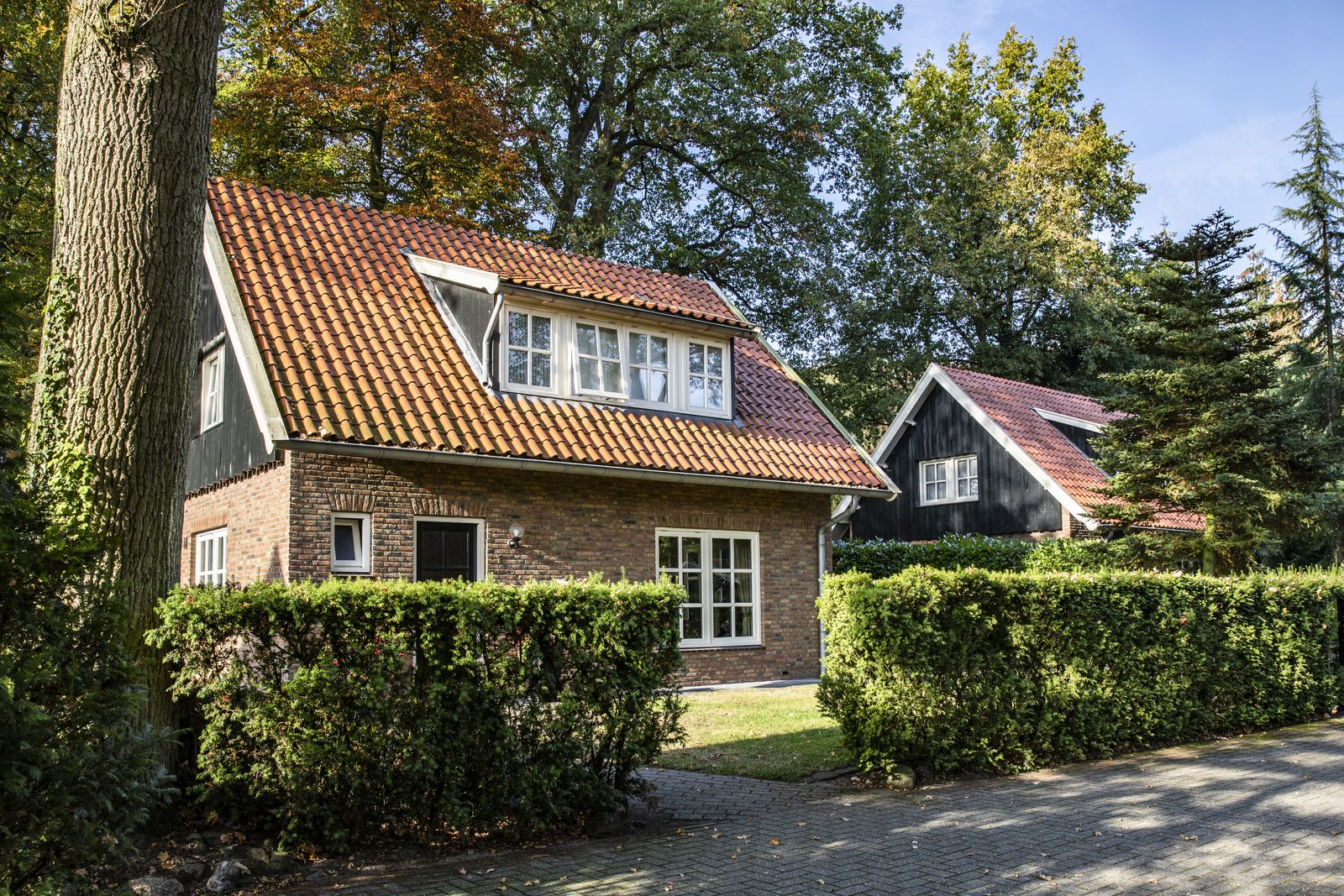 Maison nature à Losser
