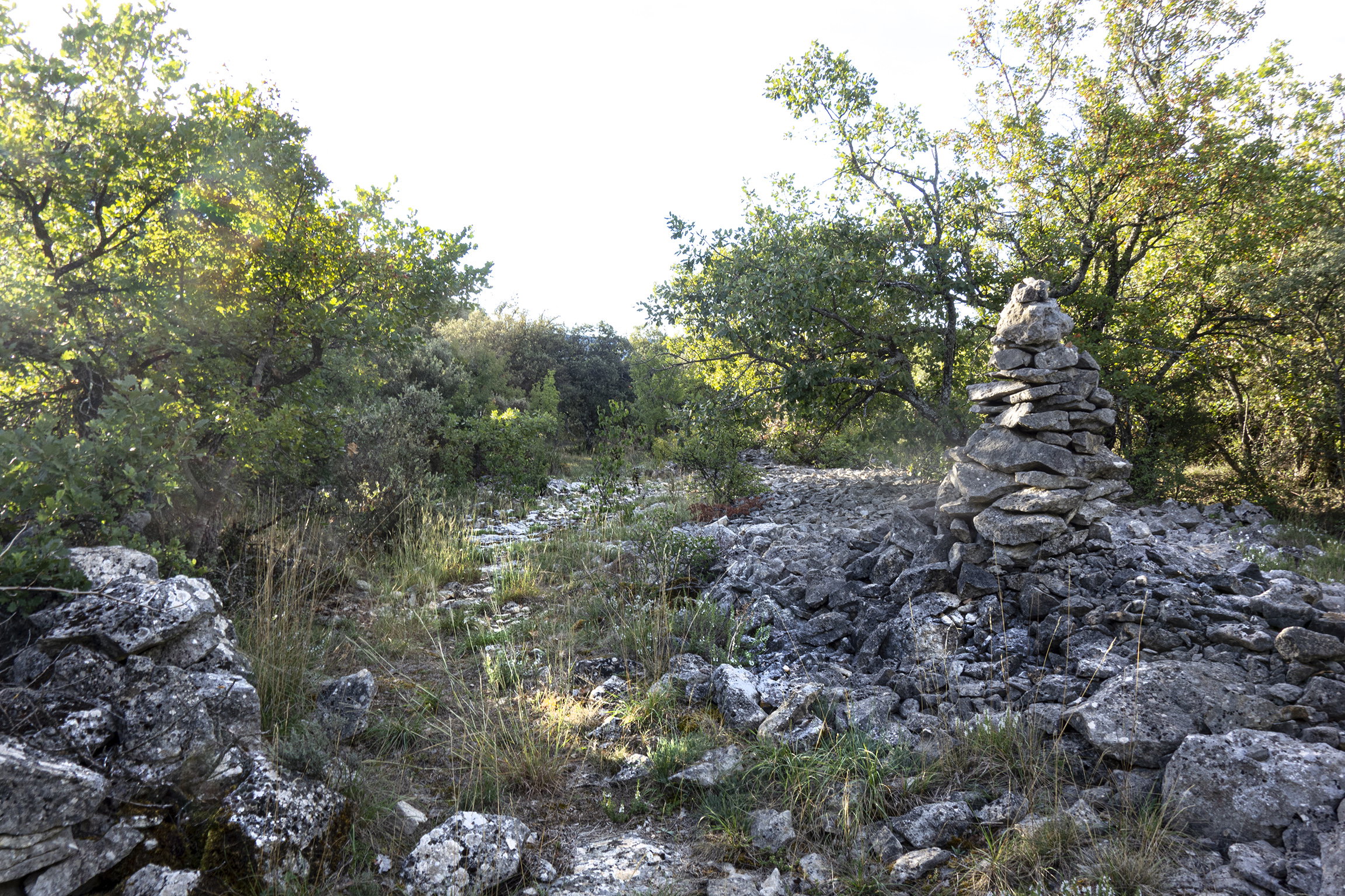 - image: 18