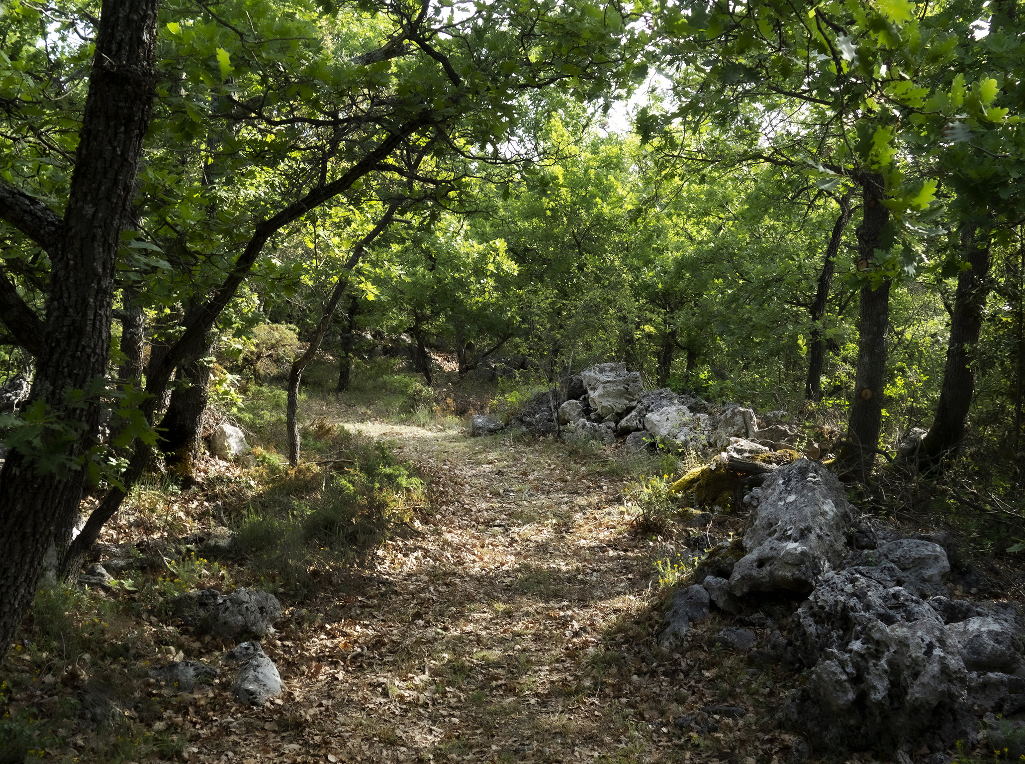 - image: 14