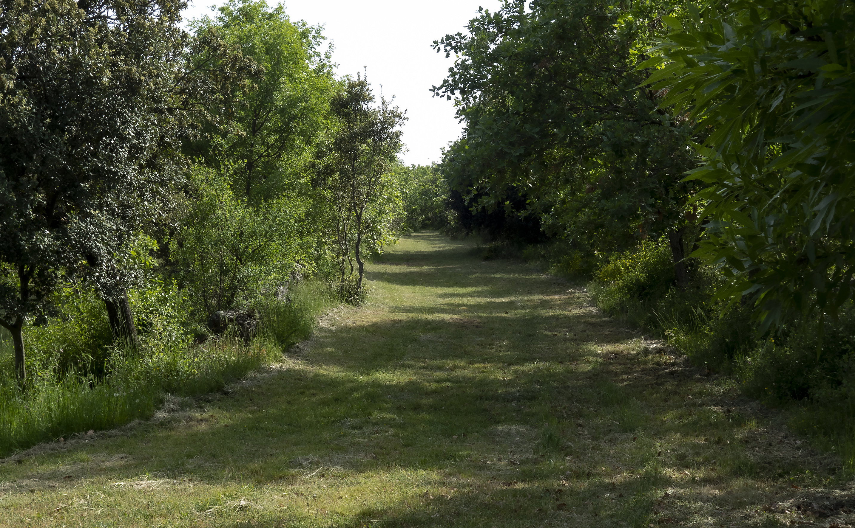 - image: 12