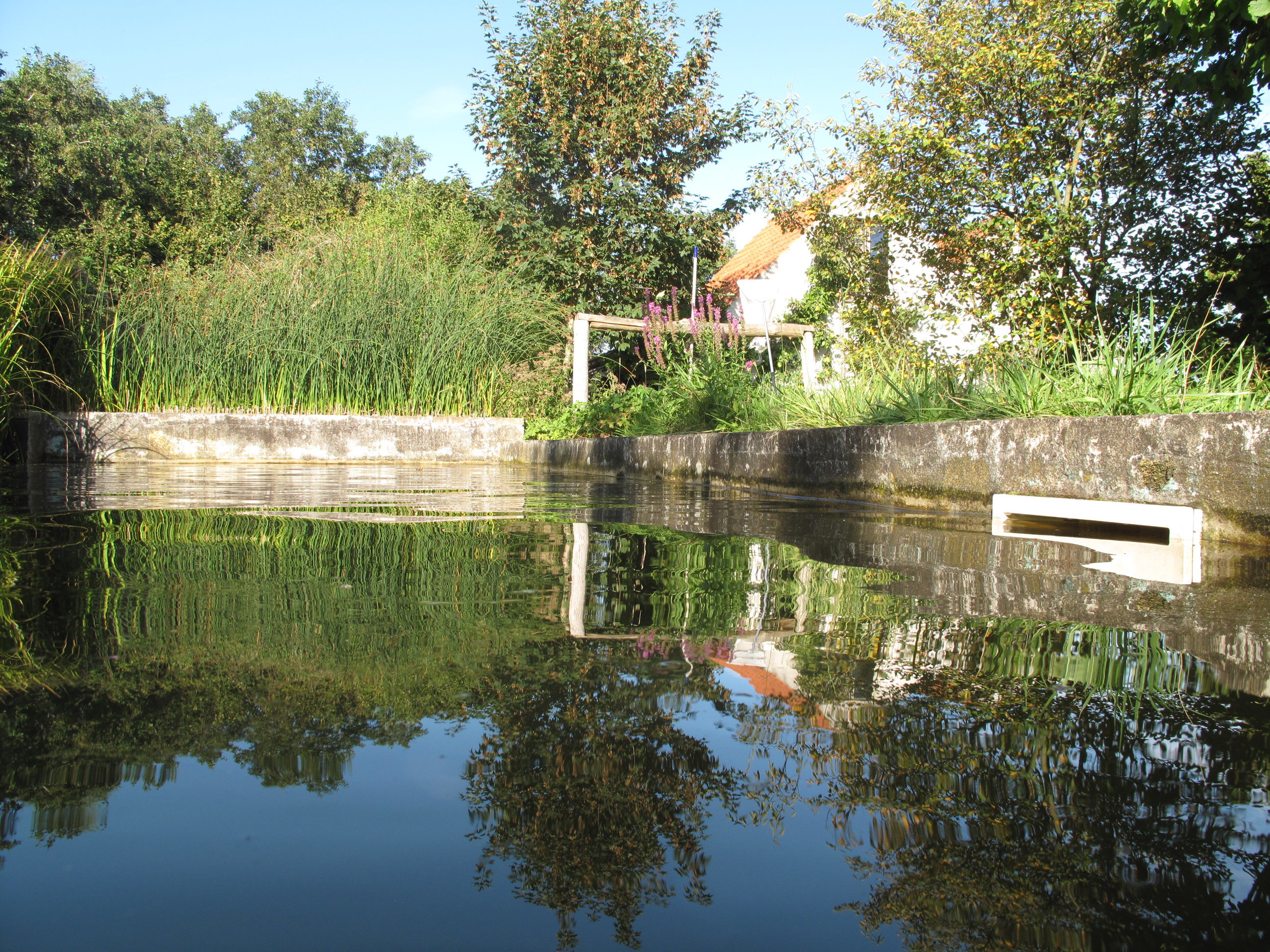 - image: 13