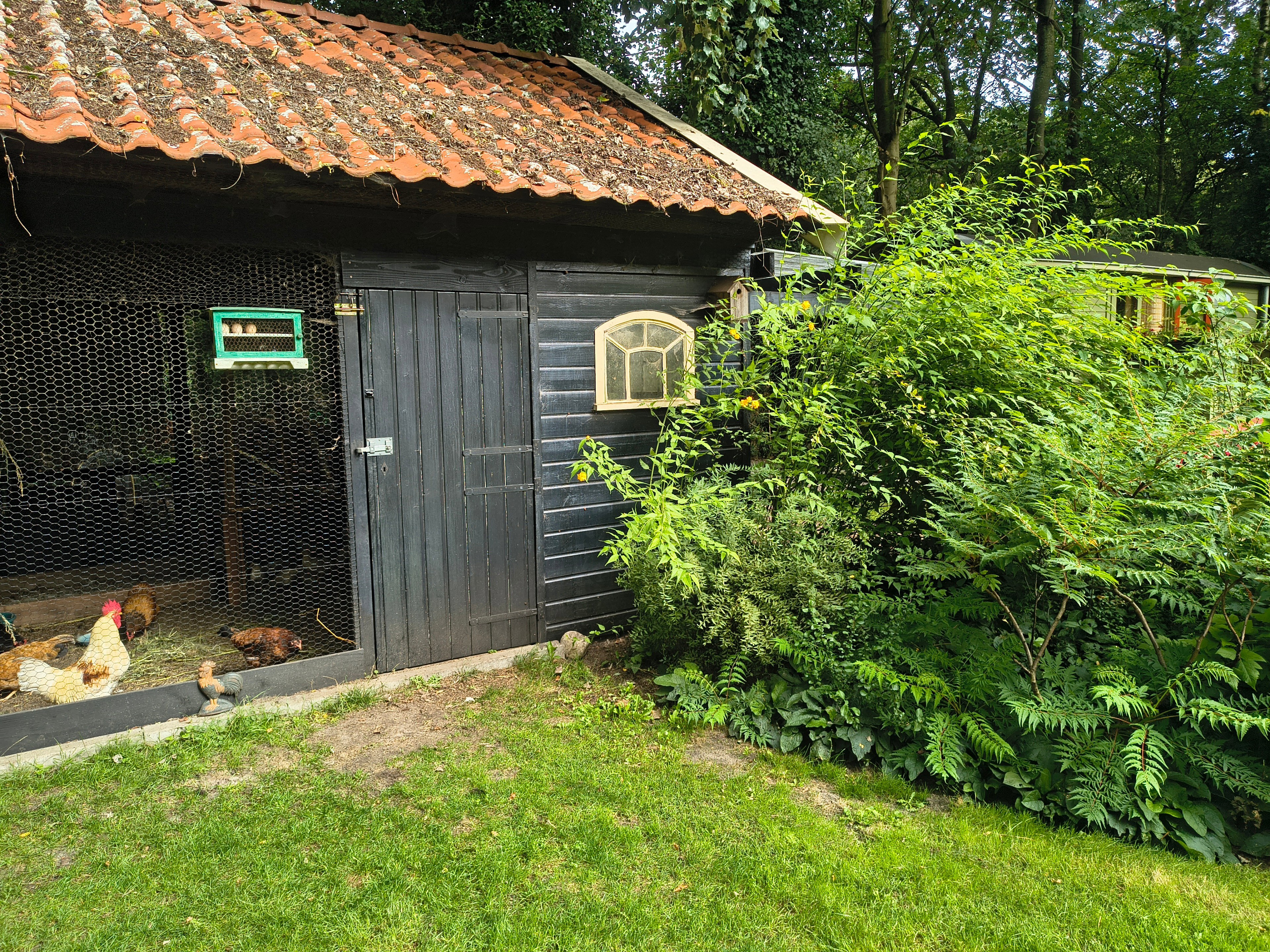 - image: 23