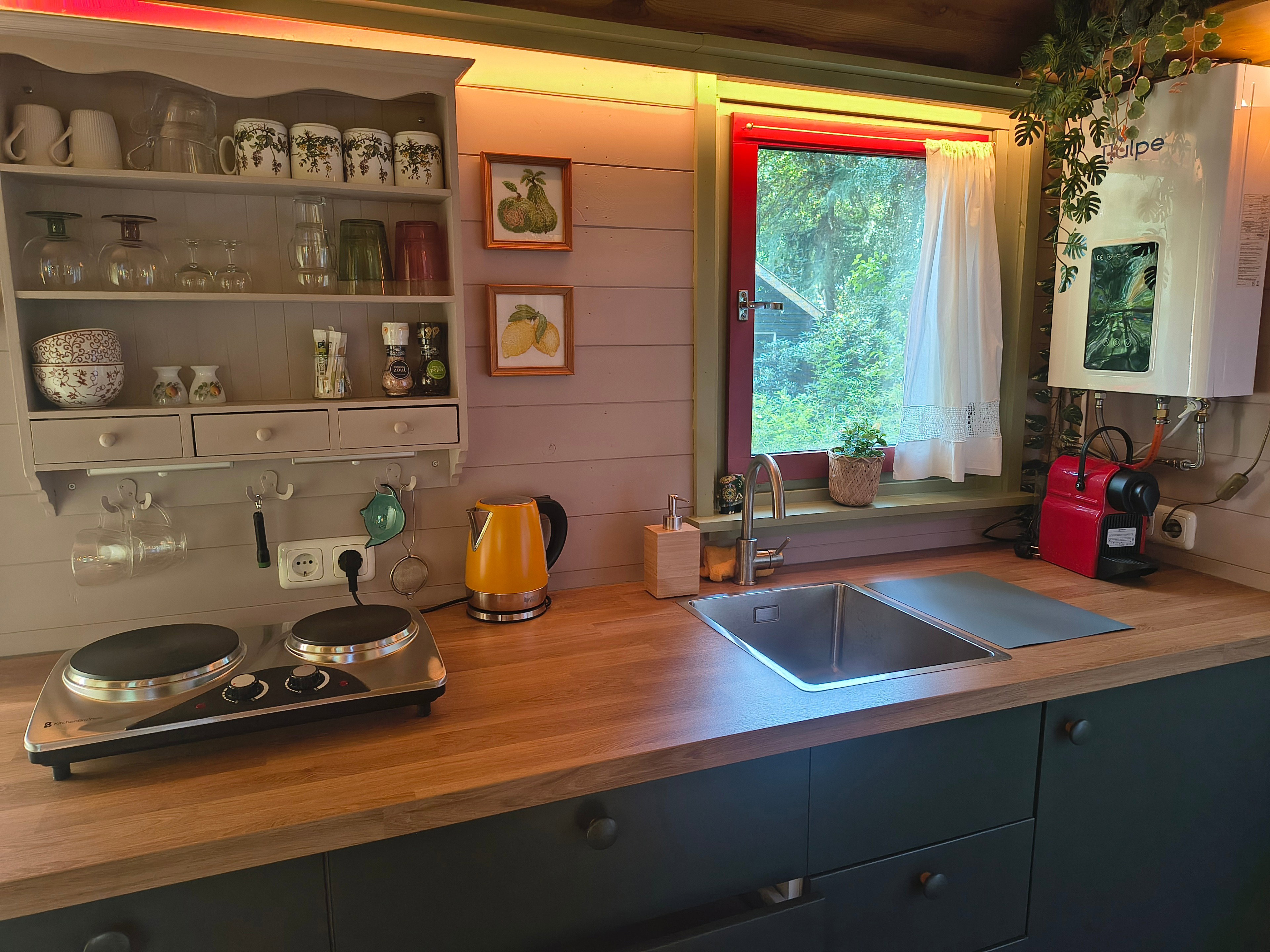 Nature house in Bronnegerveen