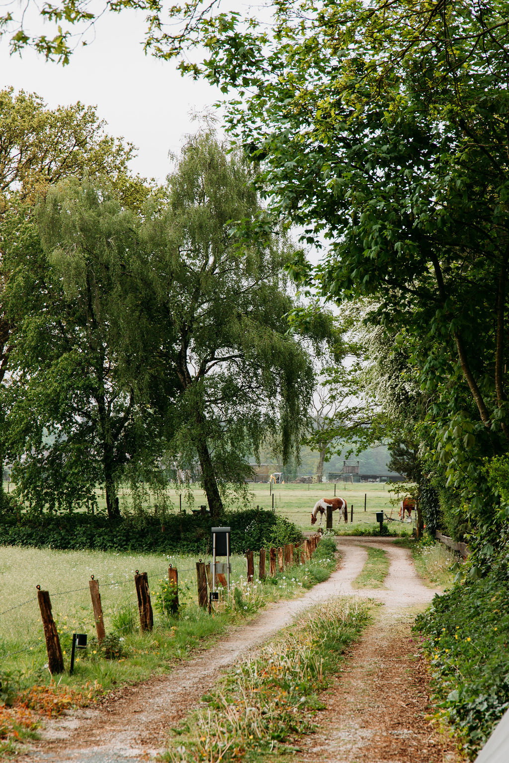 - image: 47