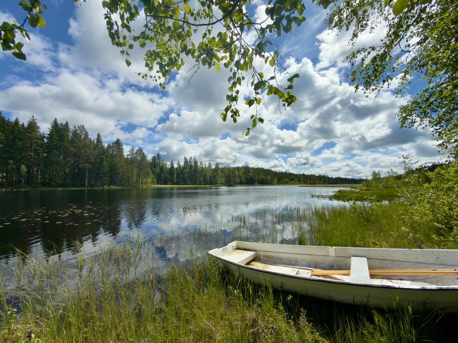 - image: 20