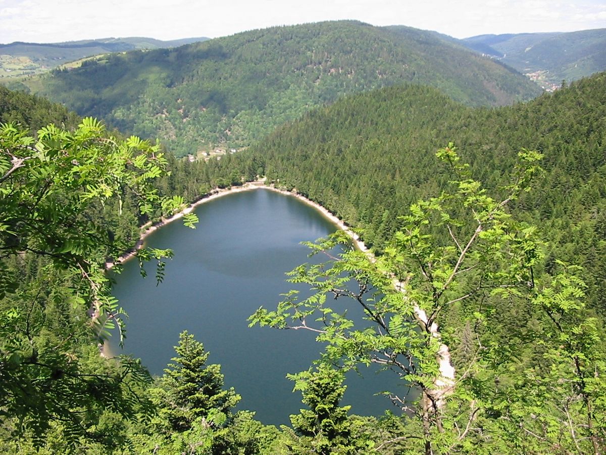 - image: 12