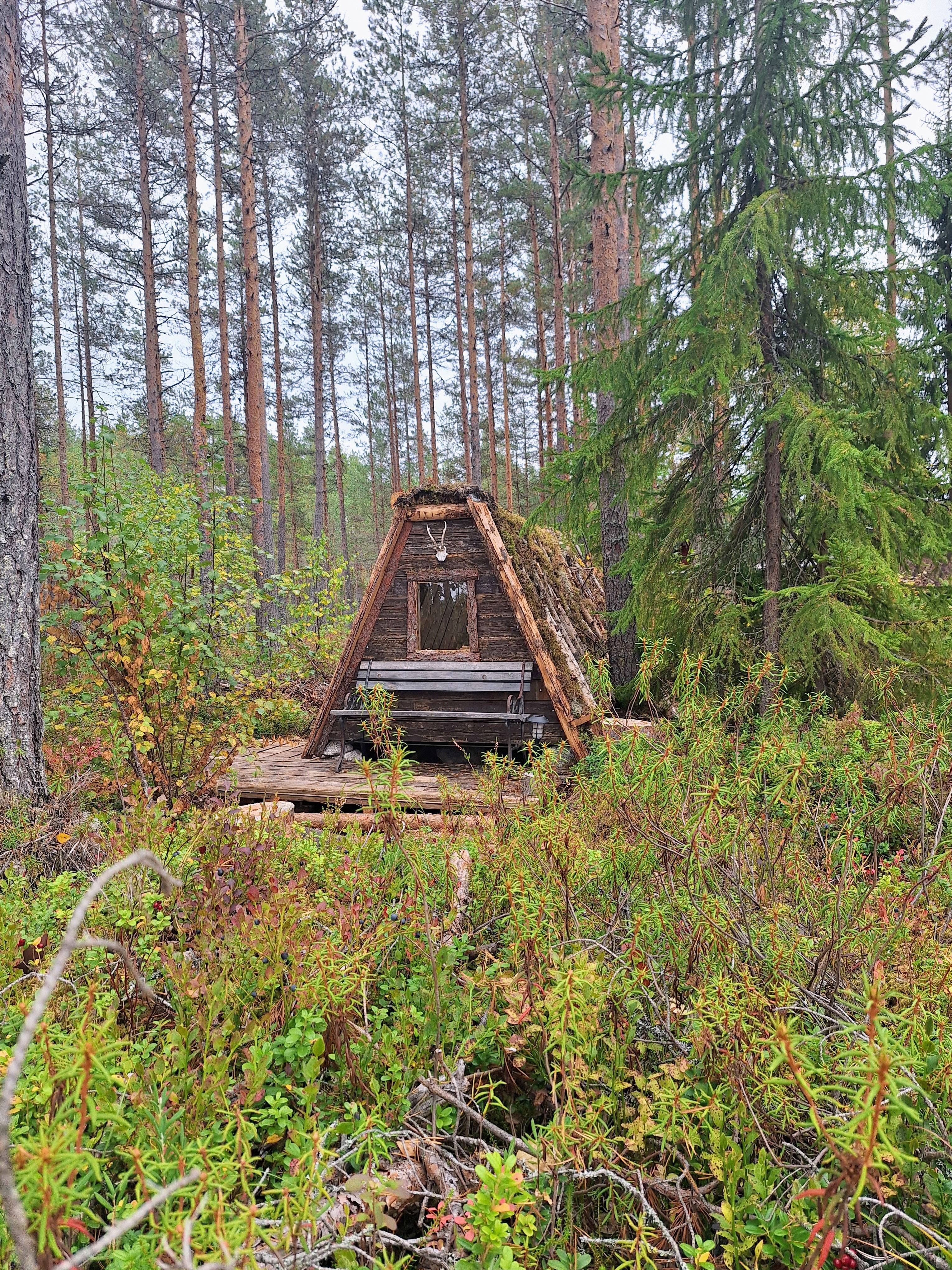 Naturhäuschen in Dala Järna