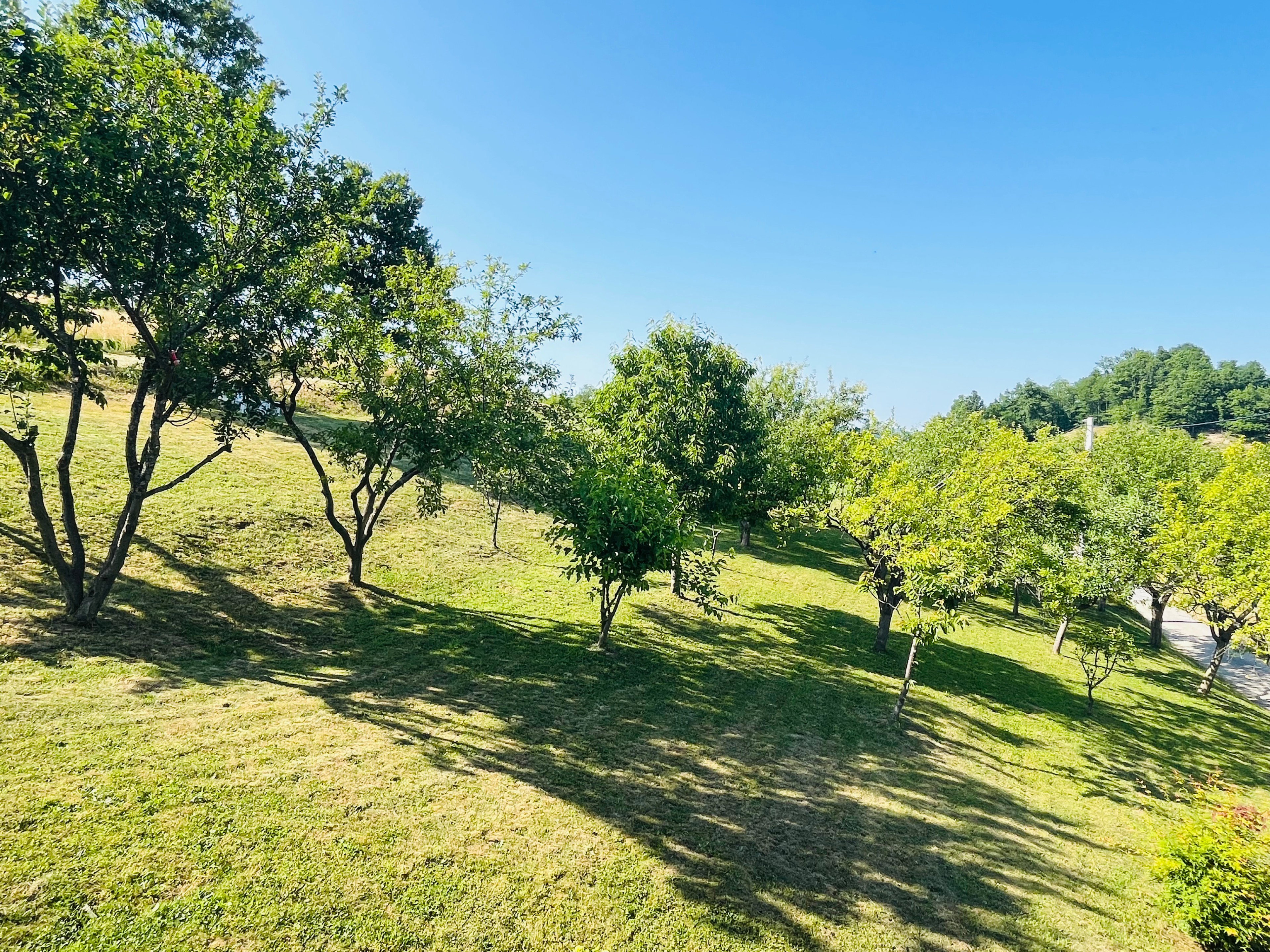 - image: 22