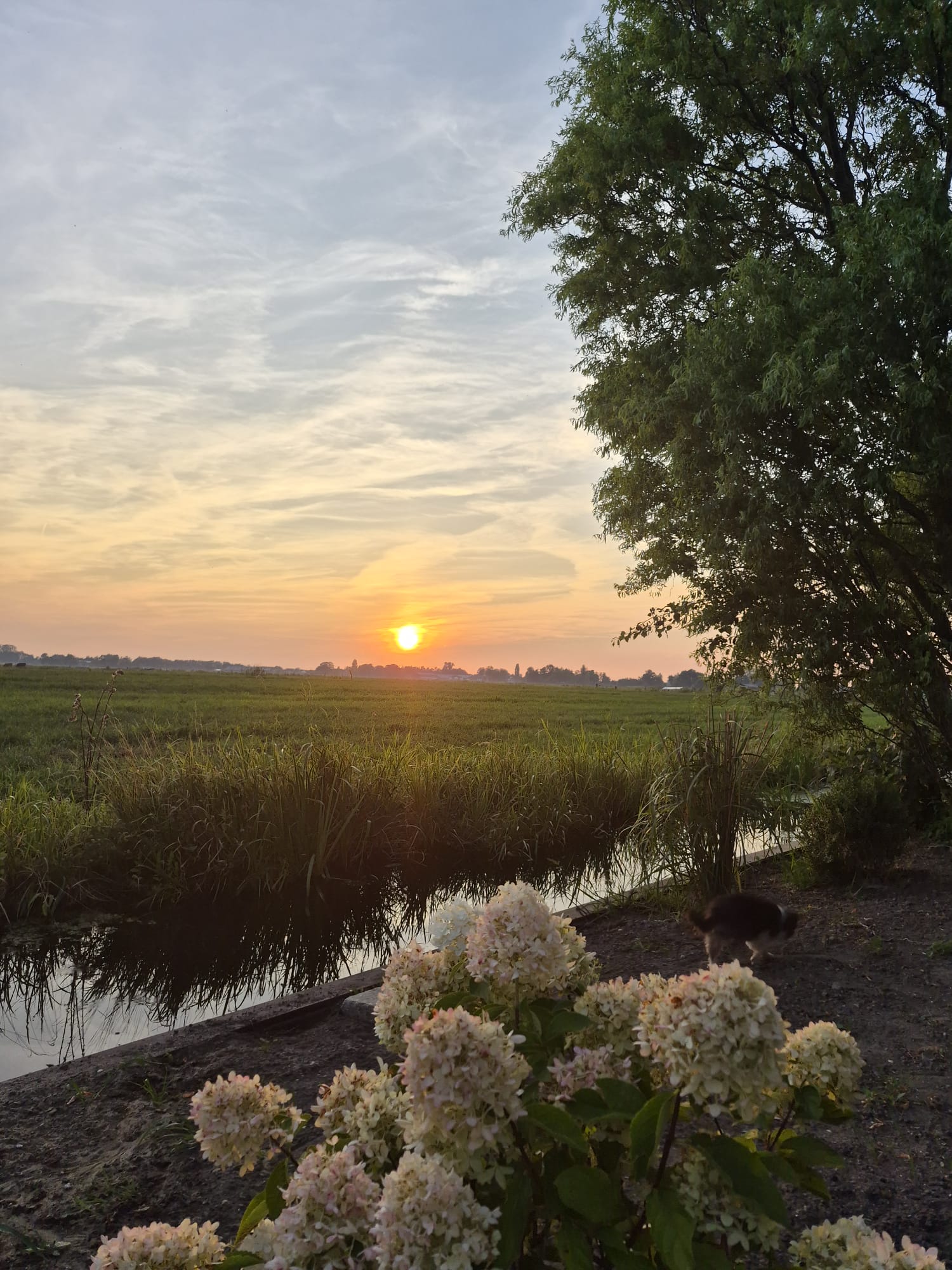 Natuurhuisje in Zegveld