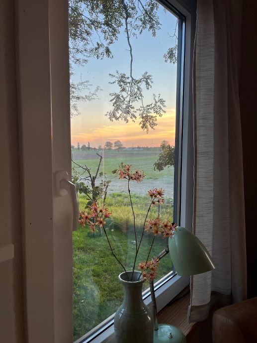 Natuurhuisje in Waarland