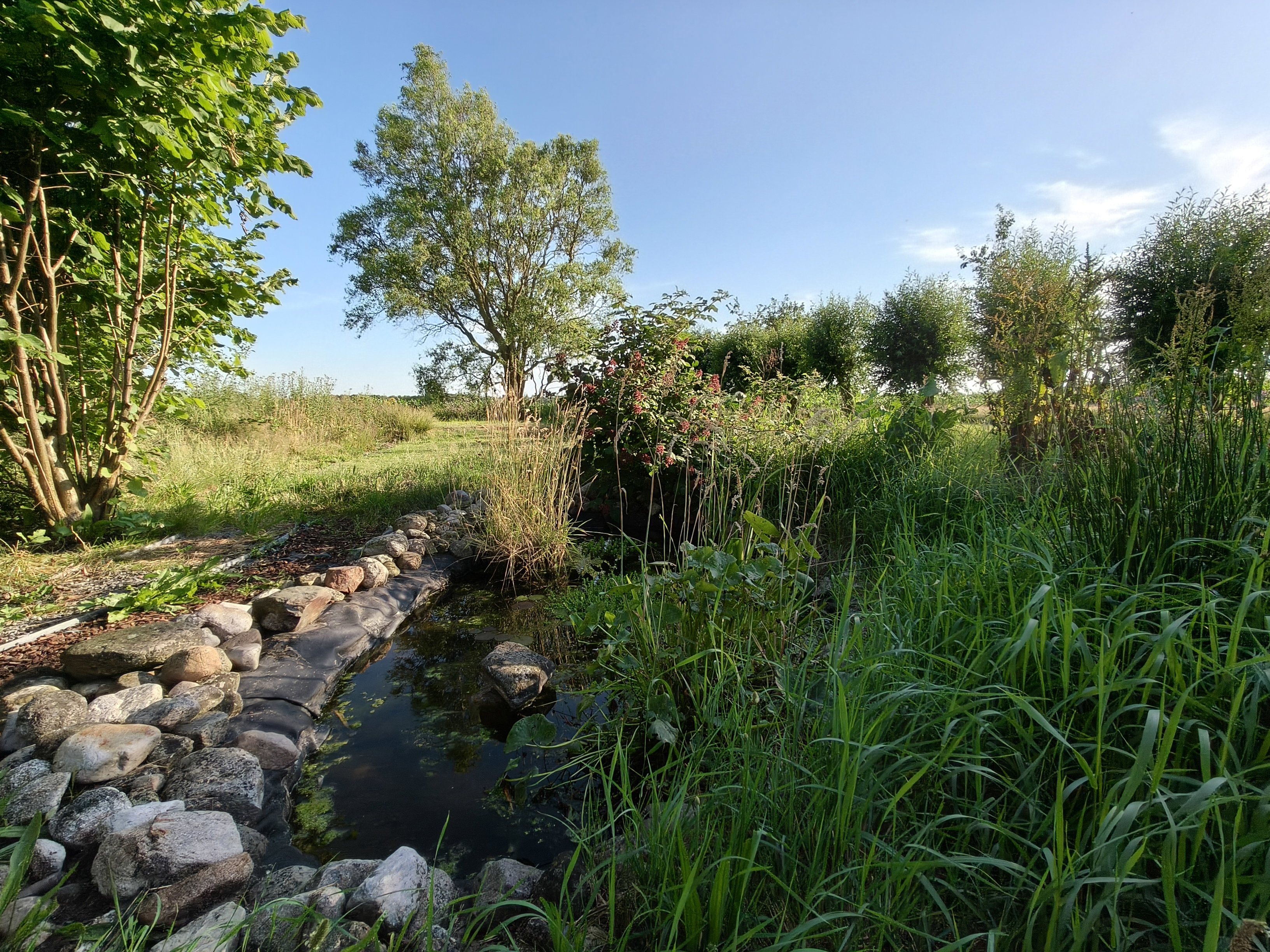 Maison nature à Drogteropslagen
