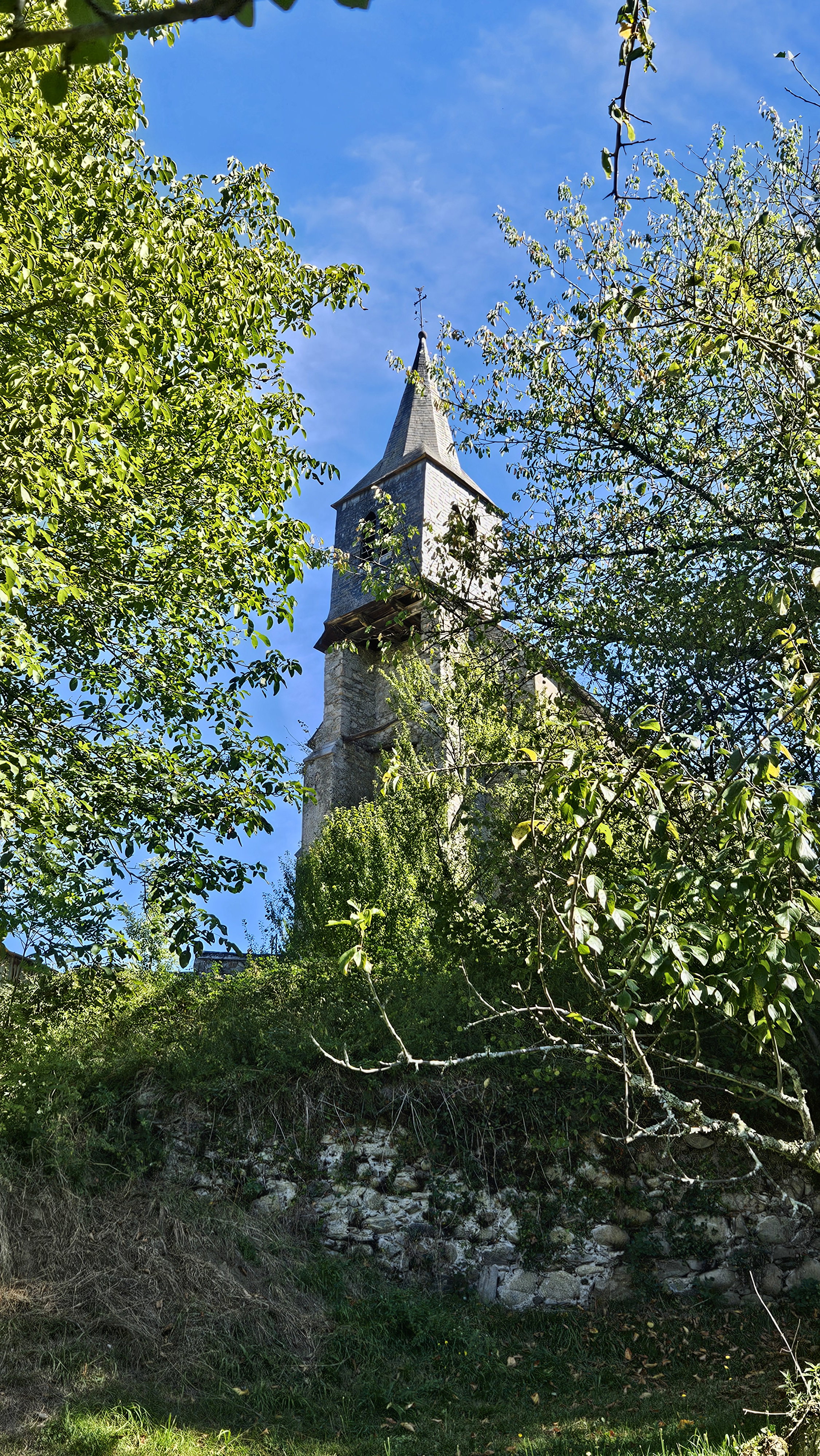 - image: 6