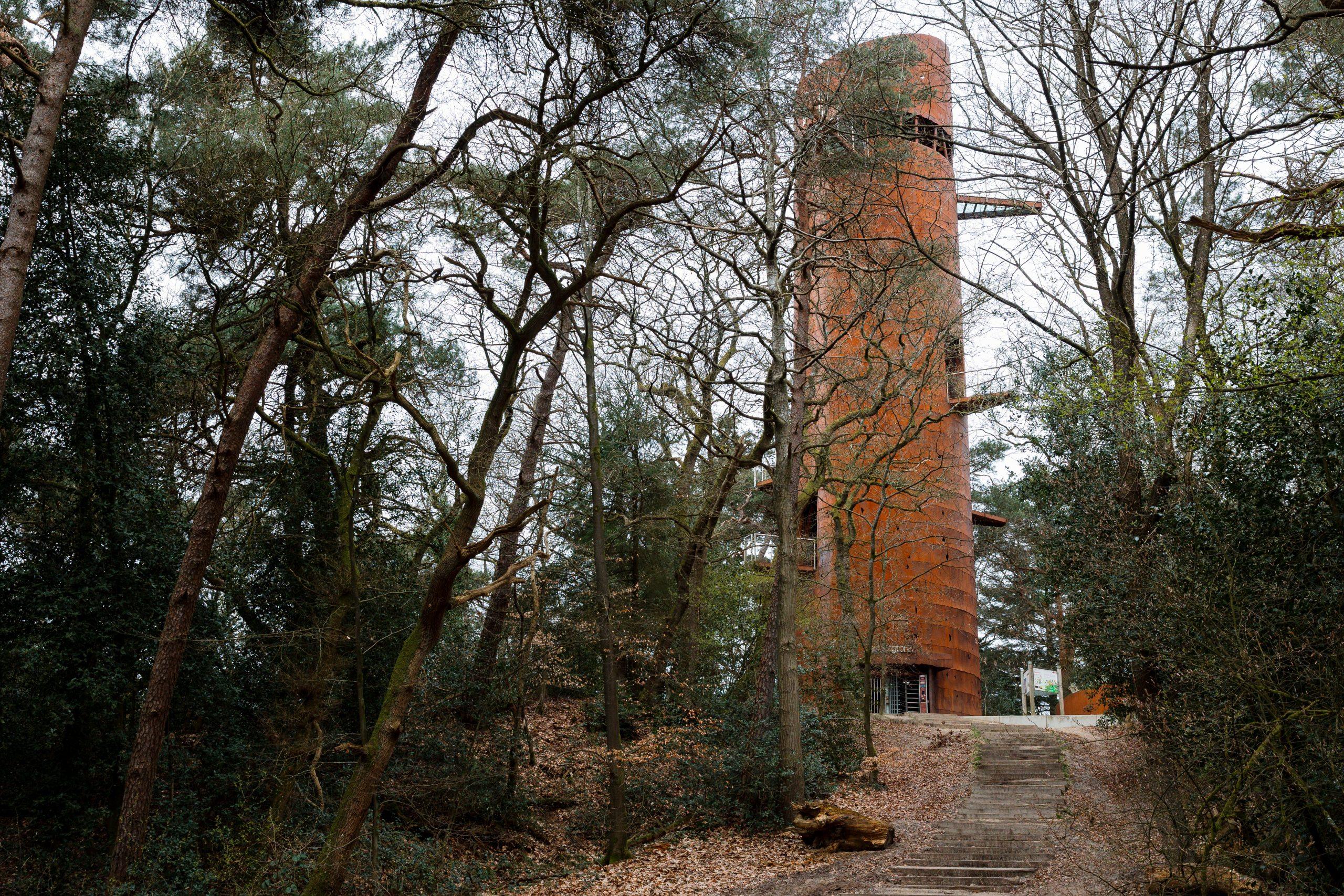 Maison nature à Appelscha