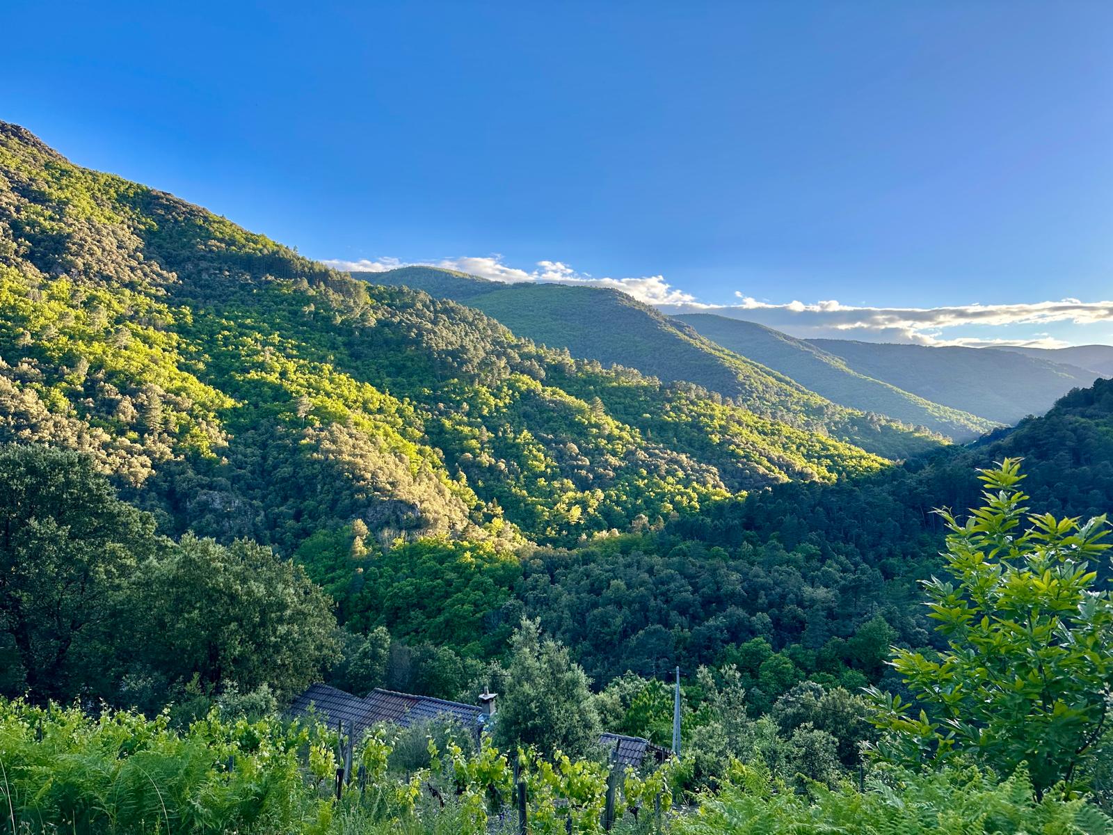 Maison nature à A SAINT-MELANY