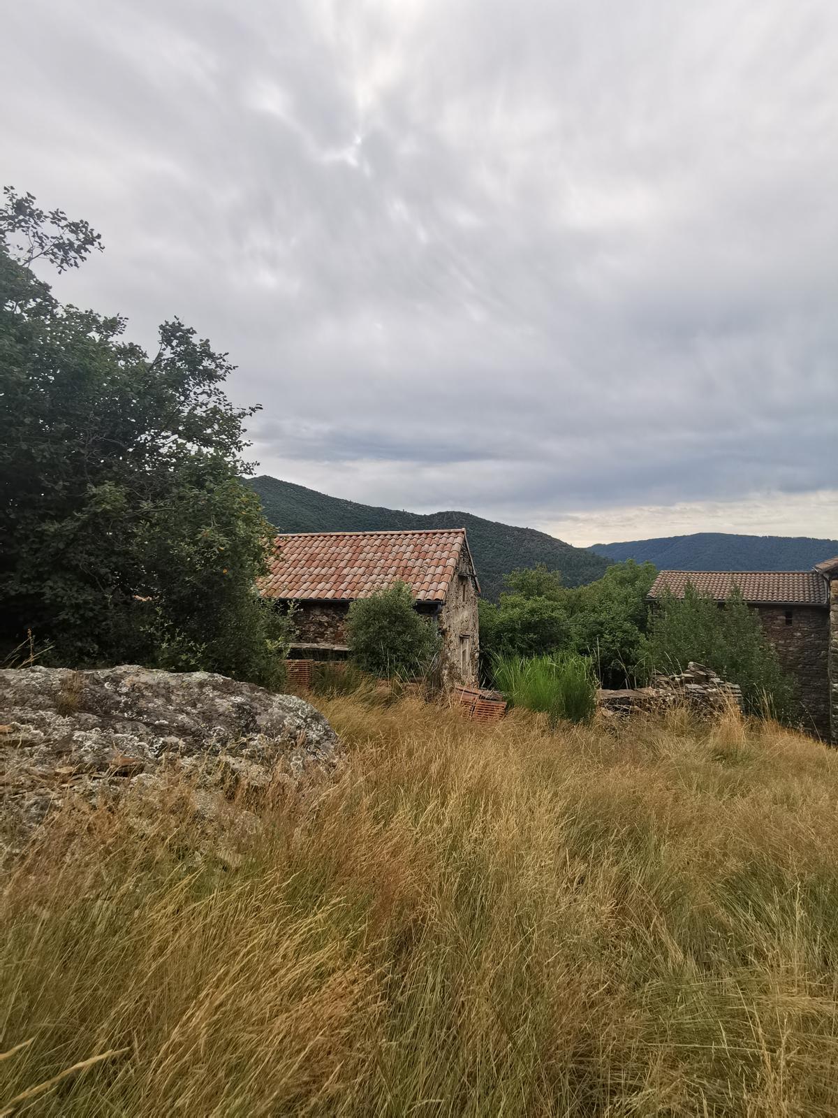 - image: 41