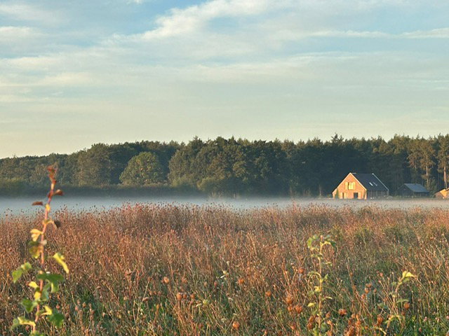 Natuurhuisje in Wilp