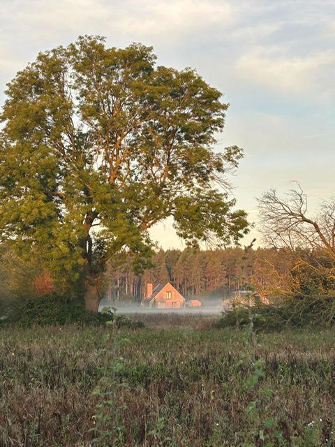 Casa nella natura a Wilp