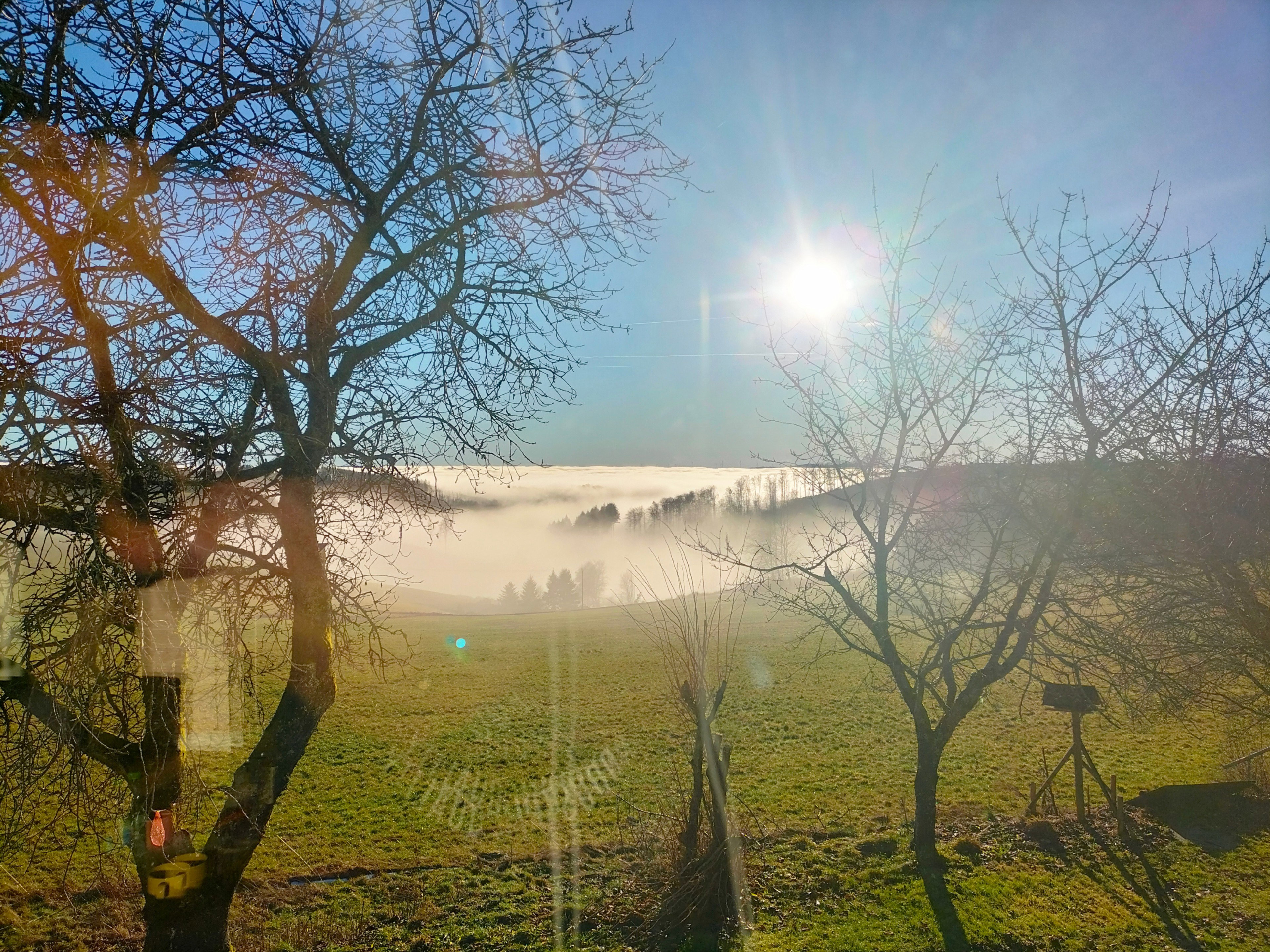 Natuurhuisje in Bad Berleburg