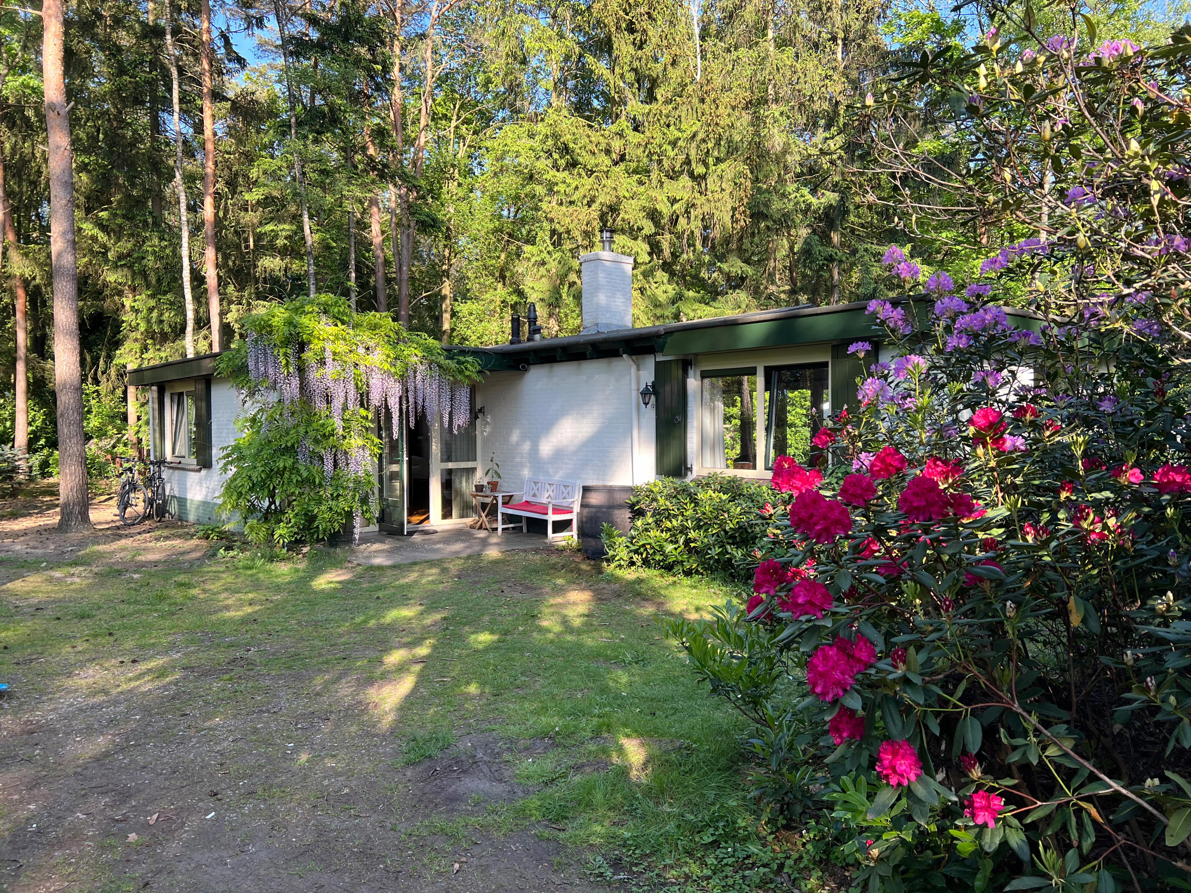 Natuurhuisje in Holten