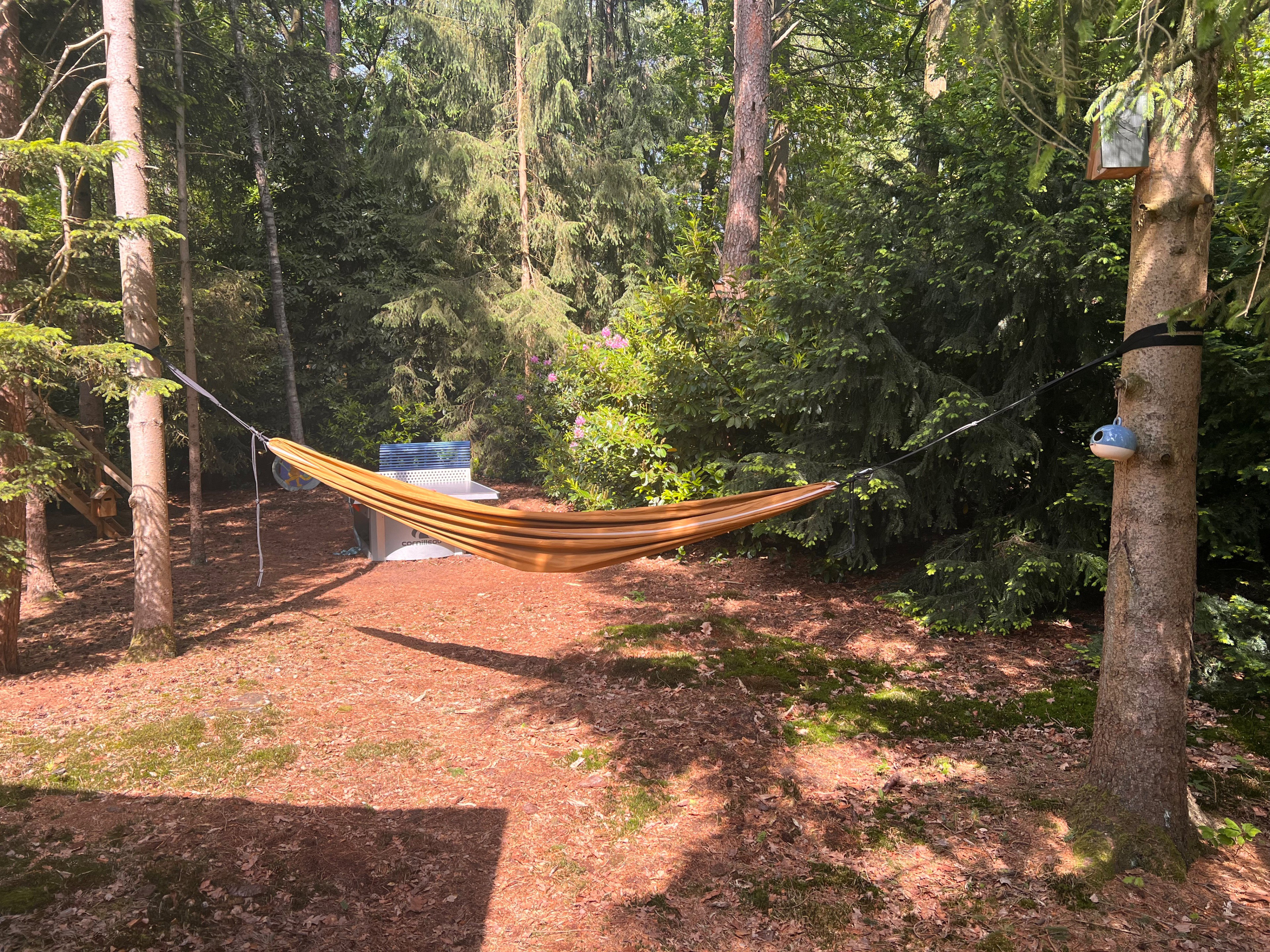 - image: 35