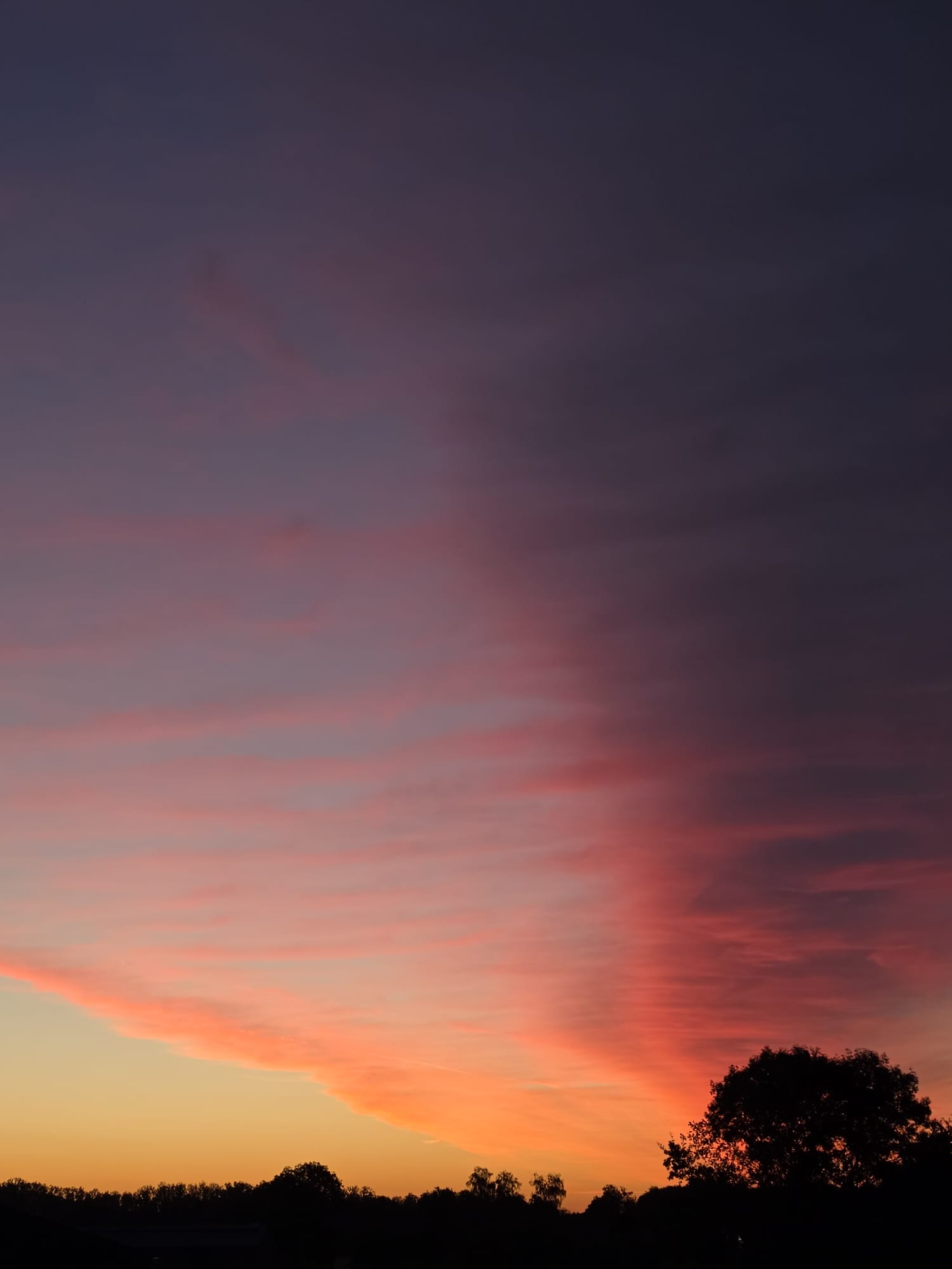 - image: 22