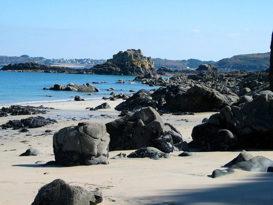 - image: 20