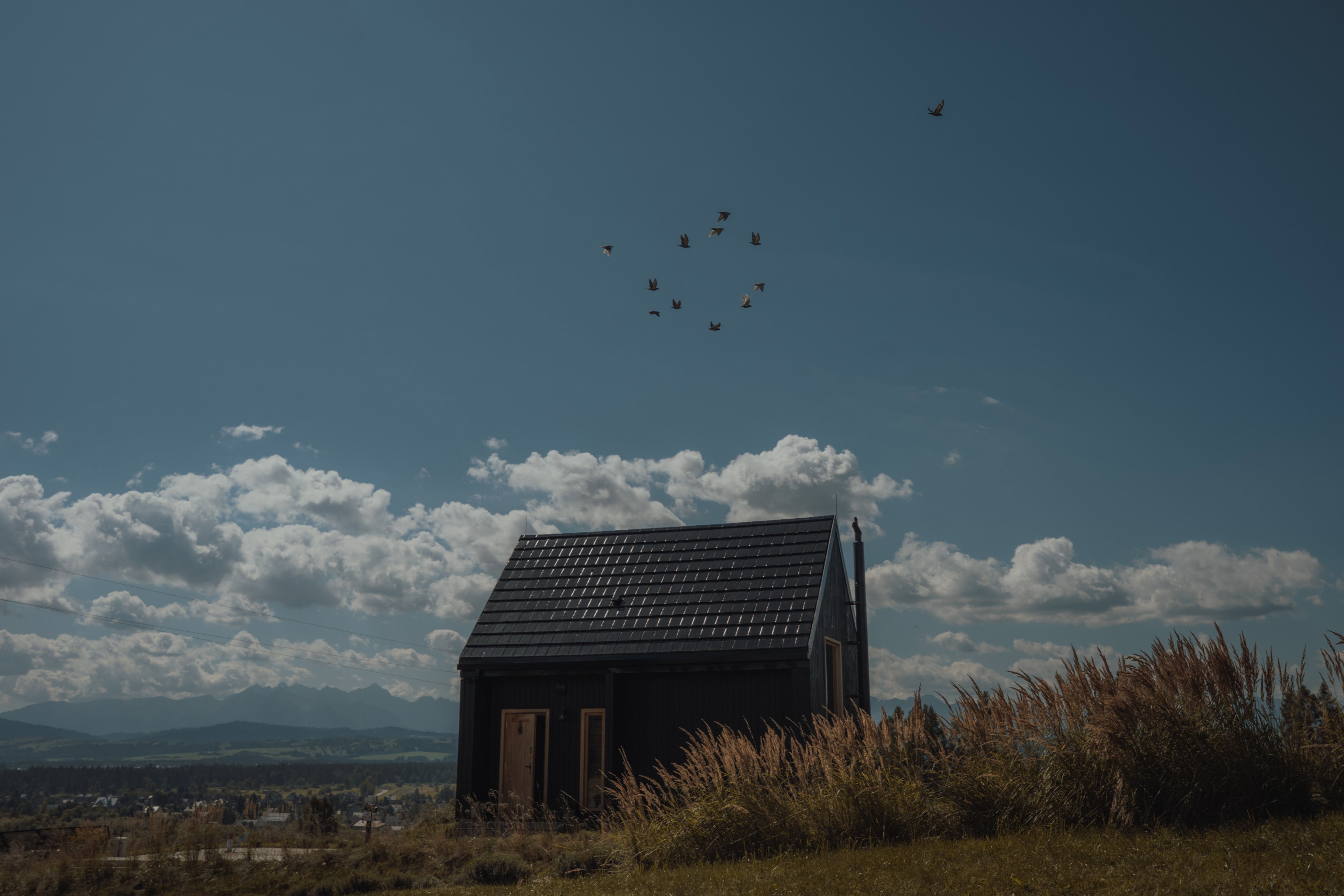 - image: 10