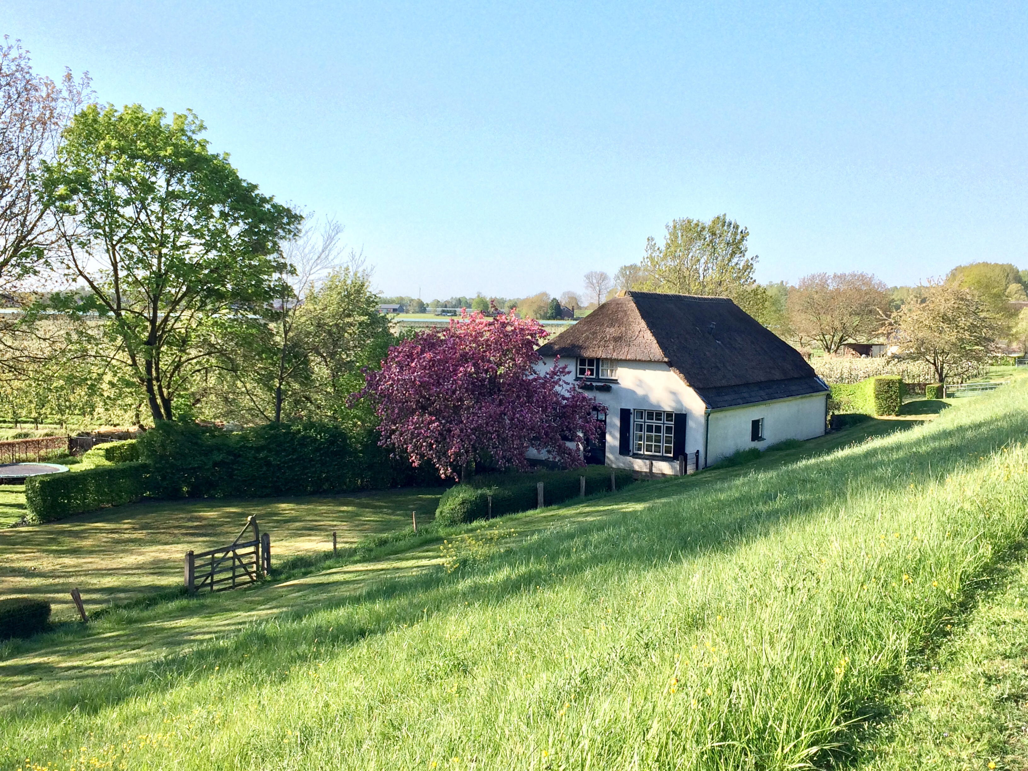 Maison nature à Wamel