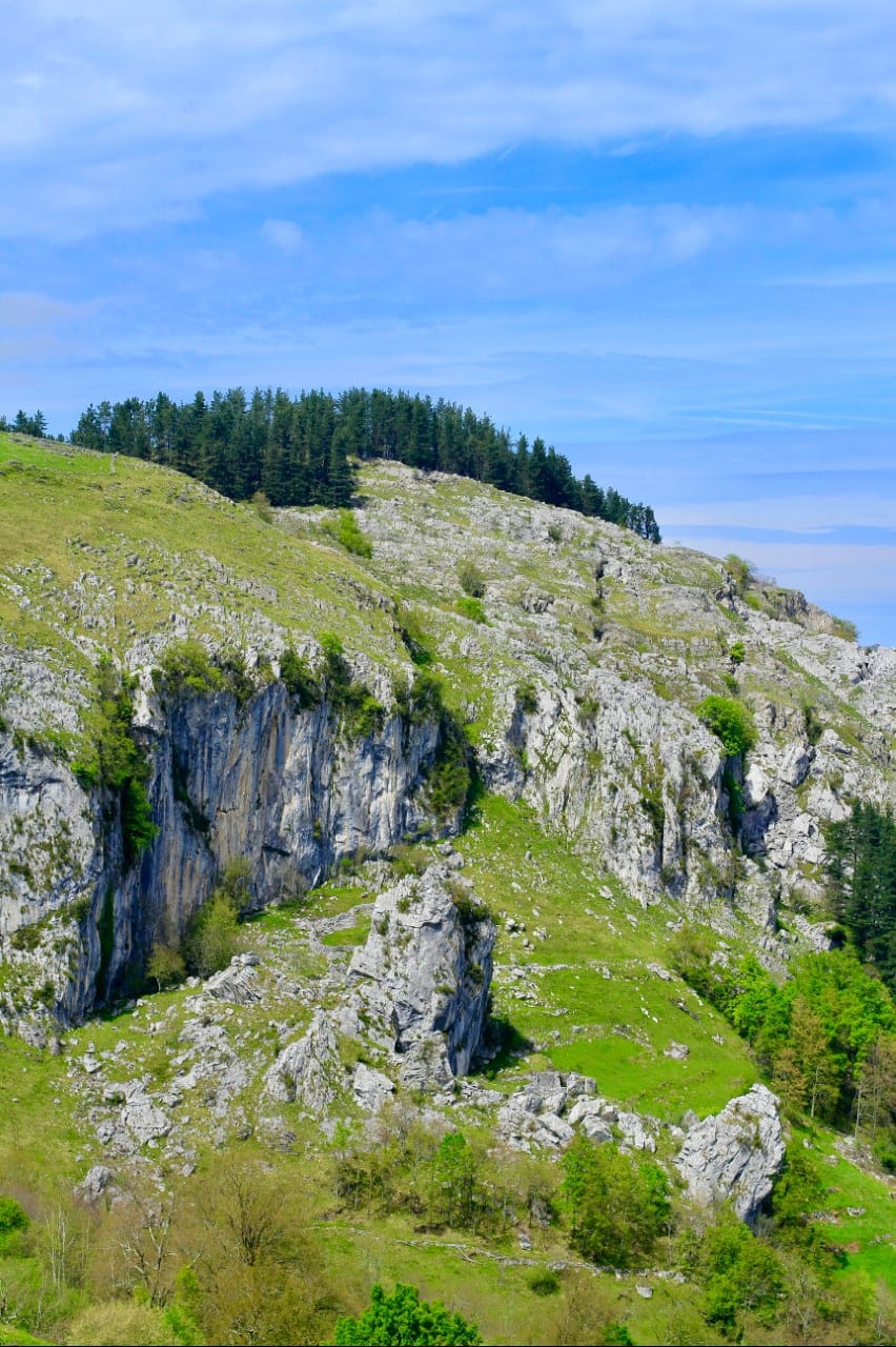 - image: 23