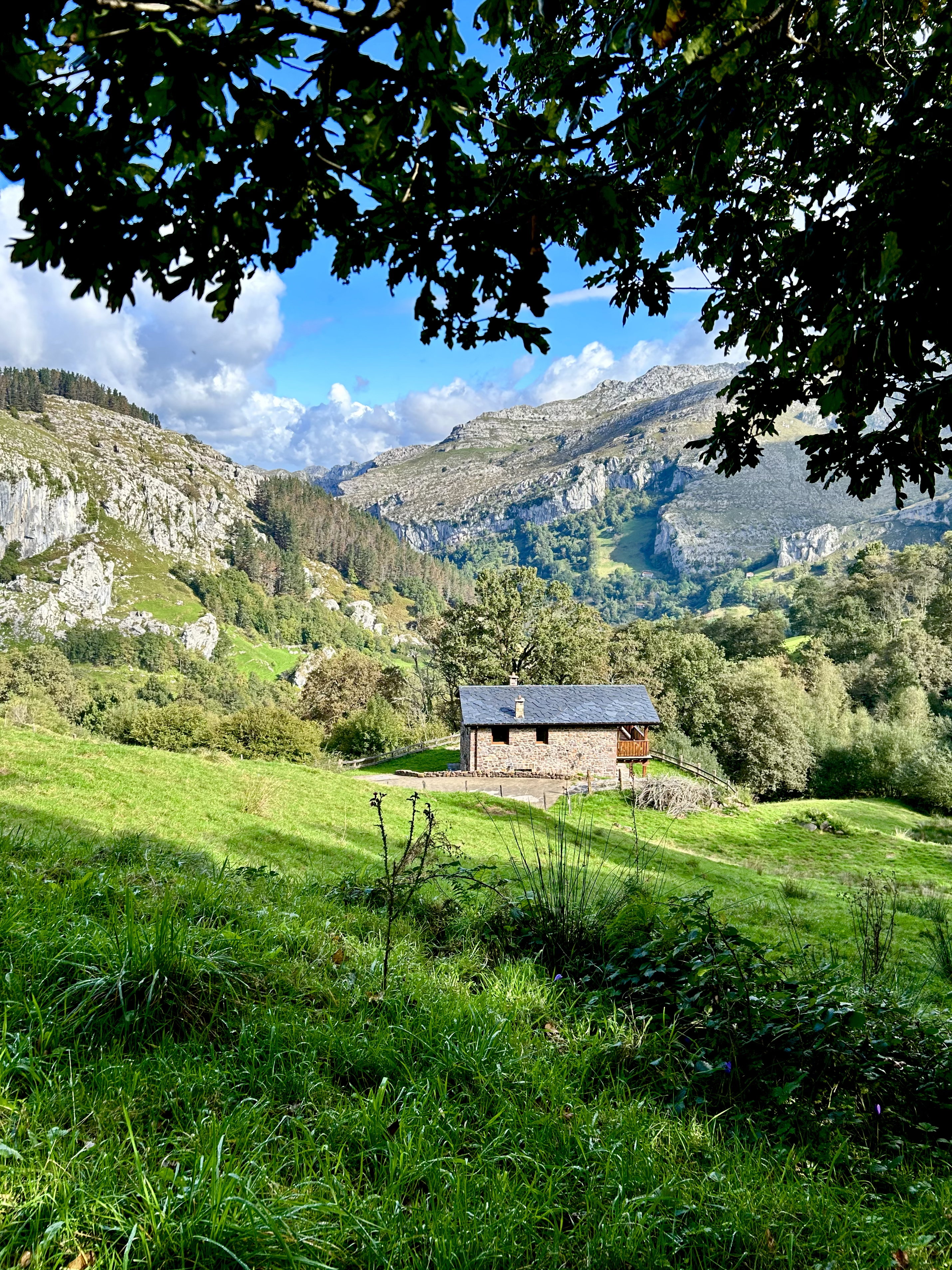- image: 52