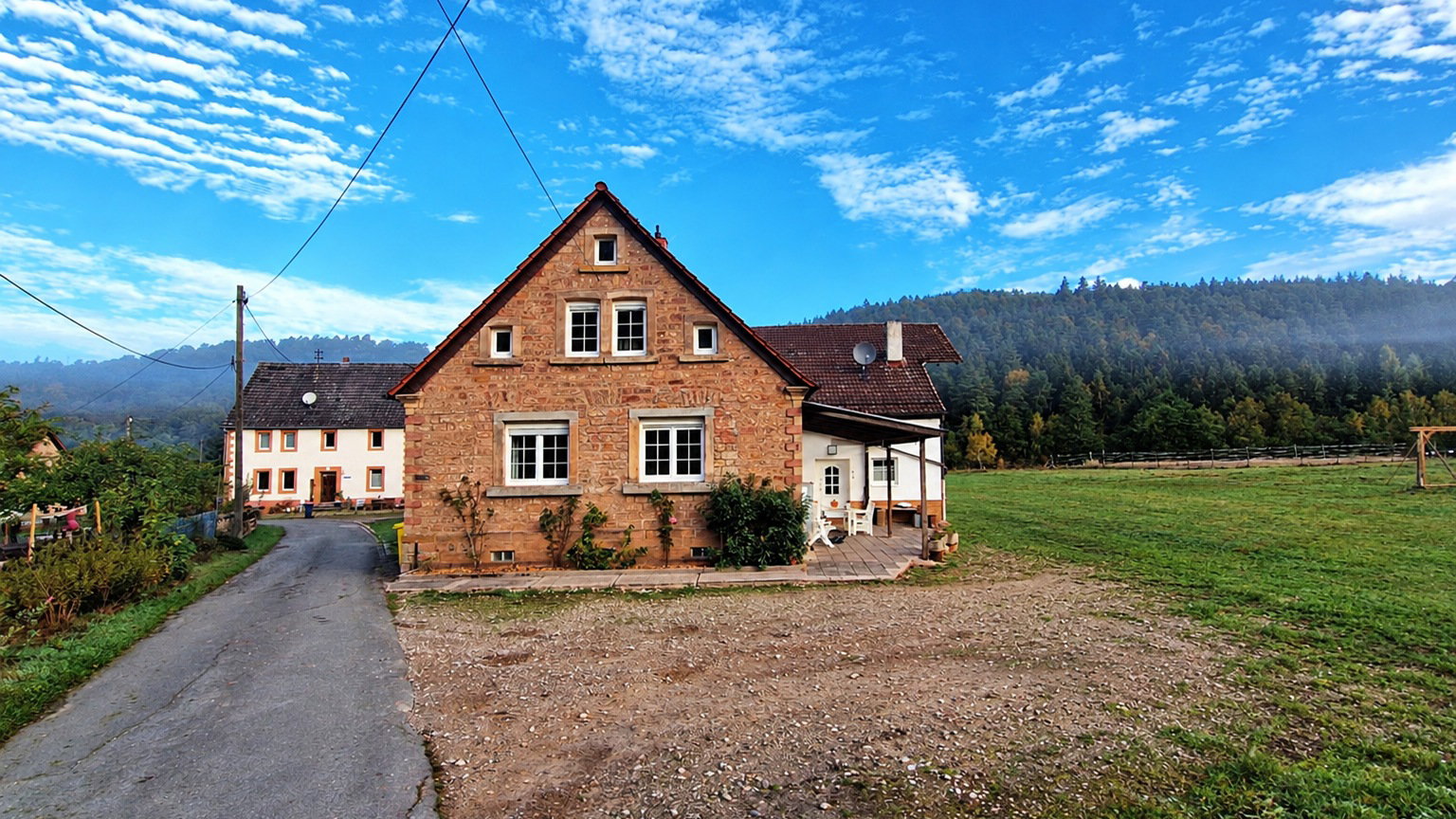 - image: 2