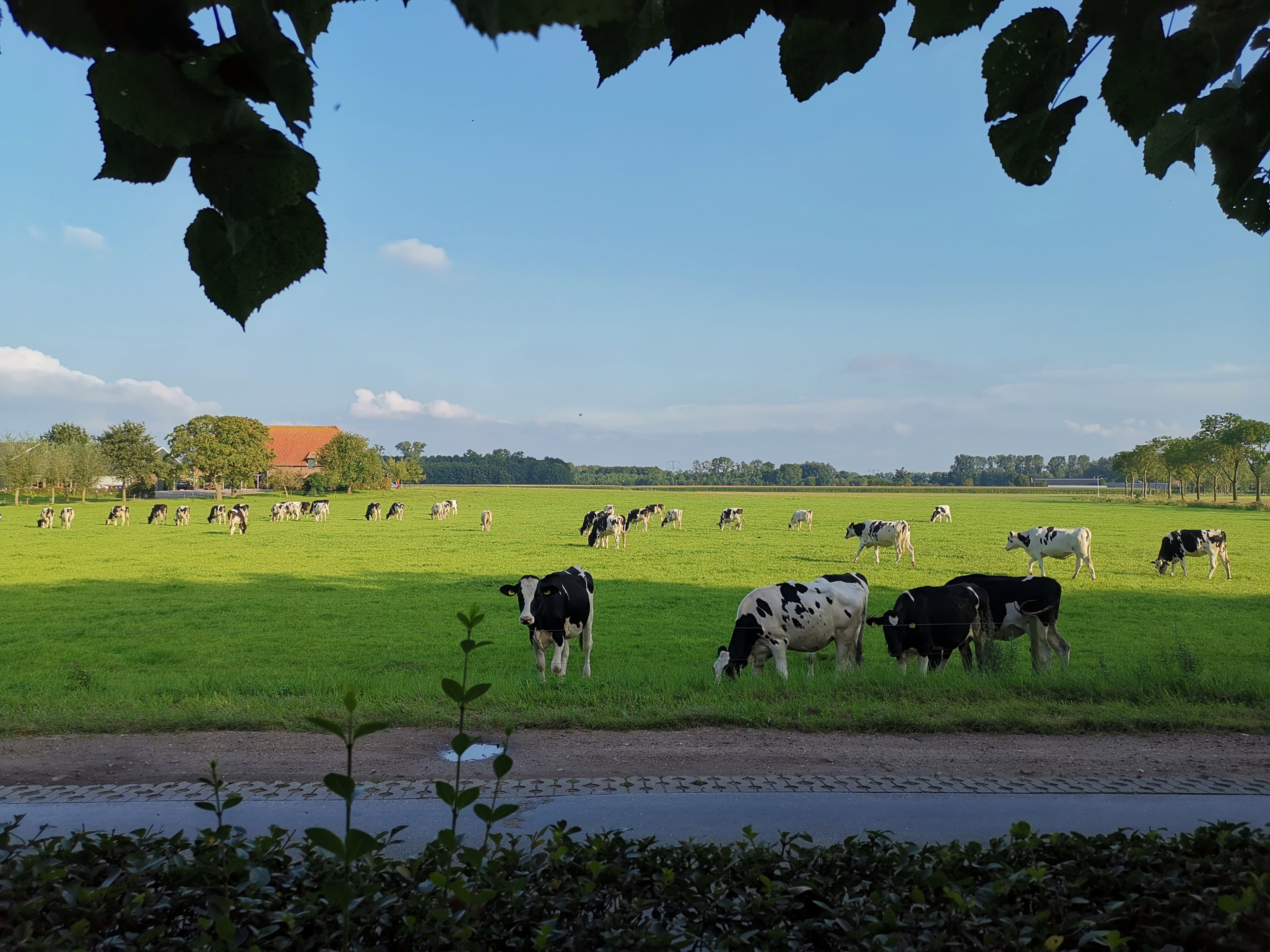 Natuurhuisje in Horssen