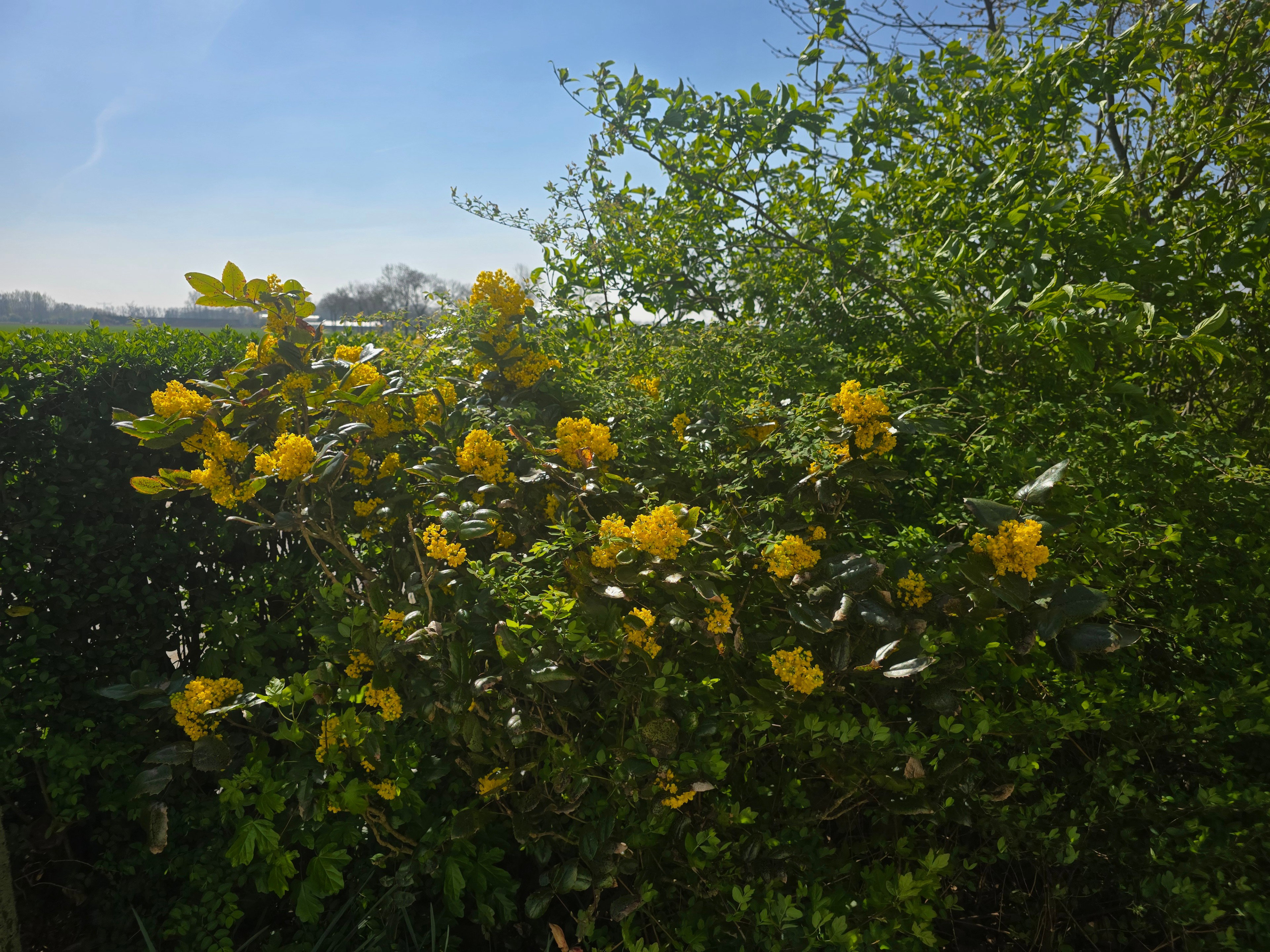 Natuurhuisje in Horssen