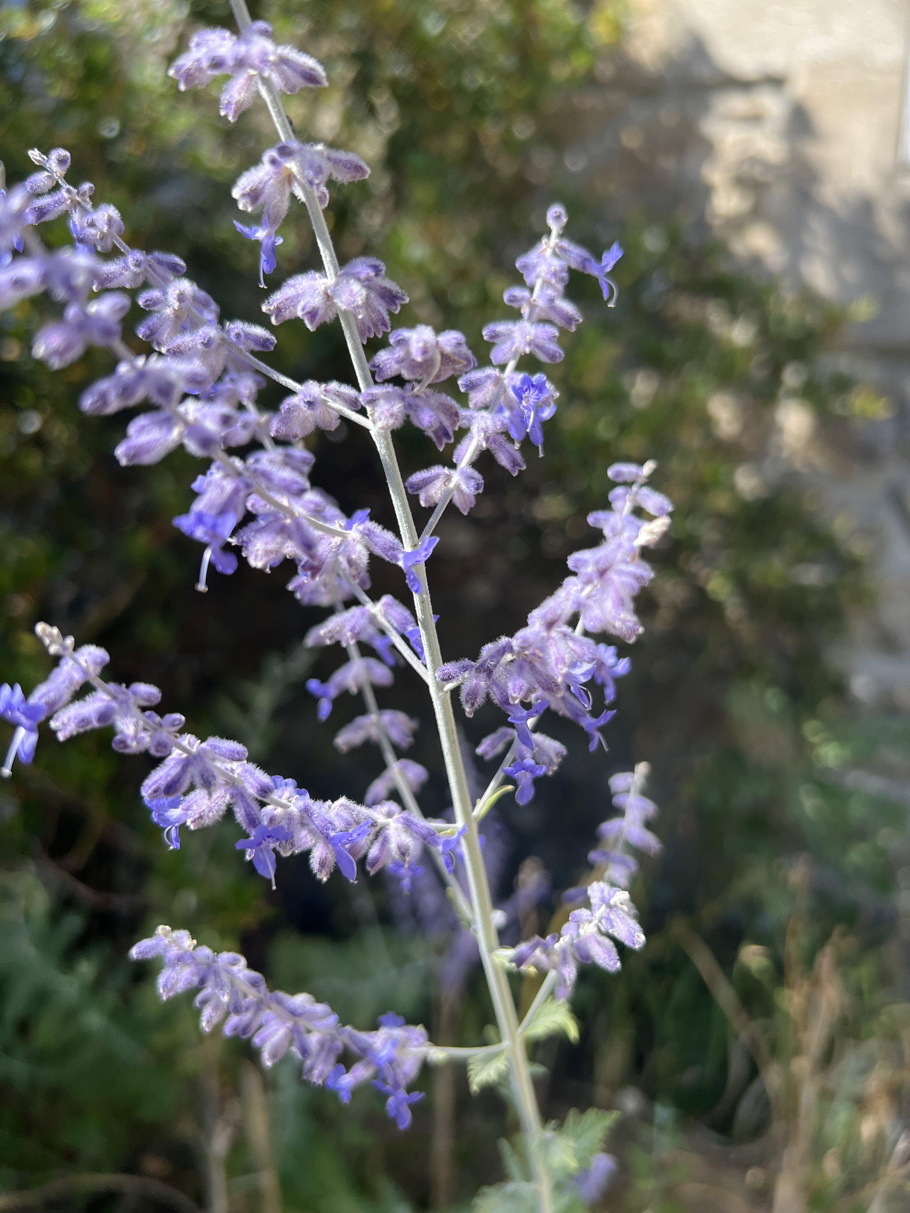 - image: 48